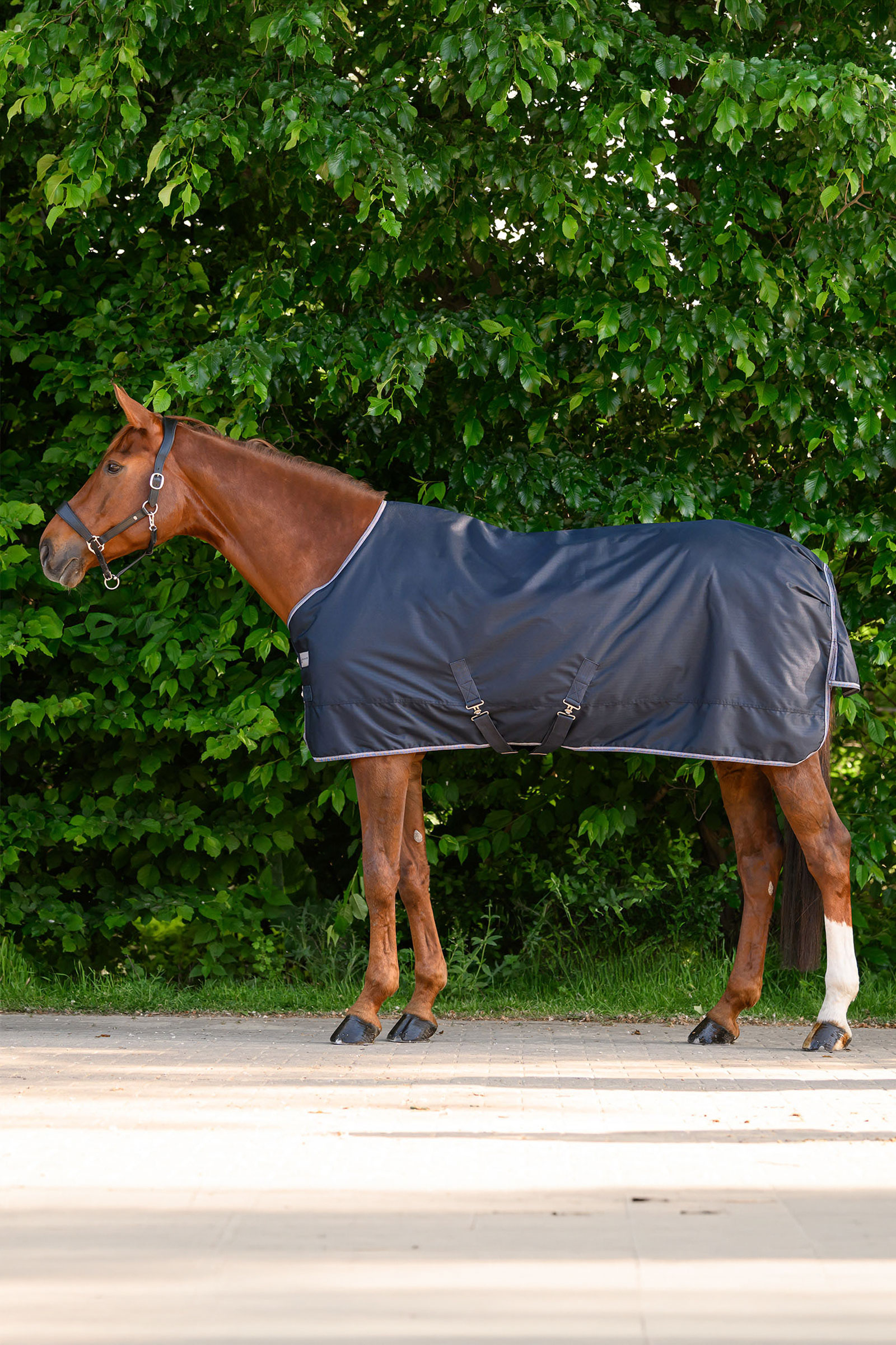 Waldhausen ECONOMIC outdoordeken, 200g