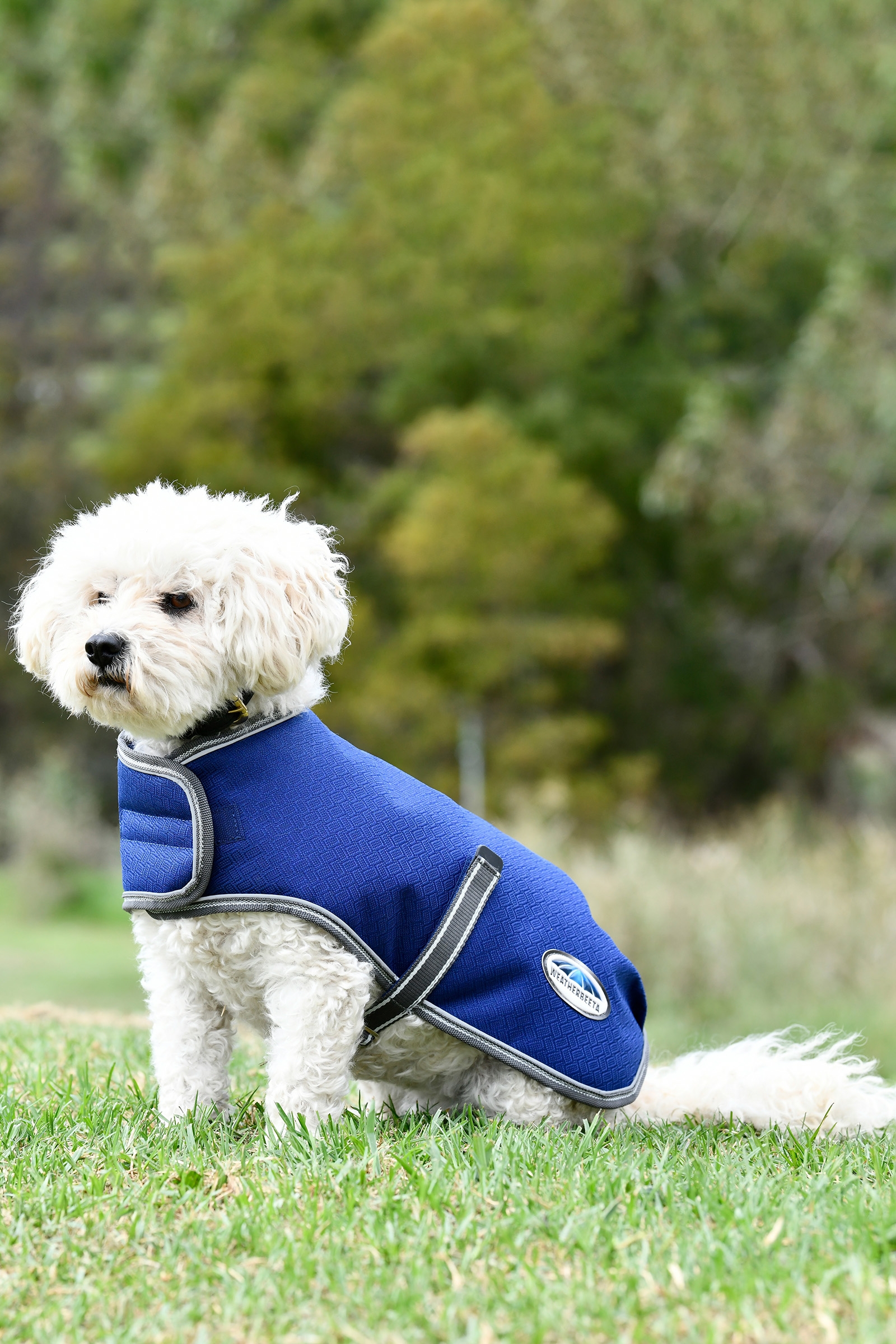 Weatherbeeta Comfitec Premier Free Parka Dog Coat Medium, 220g