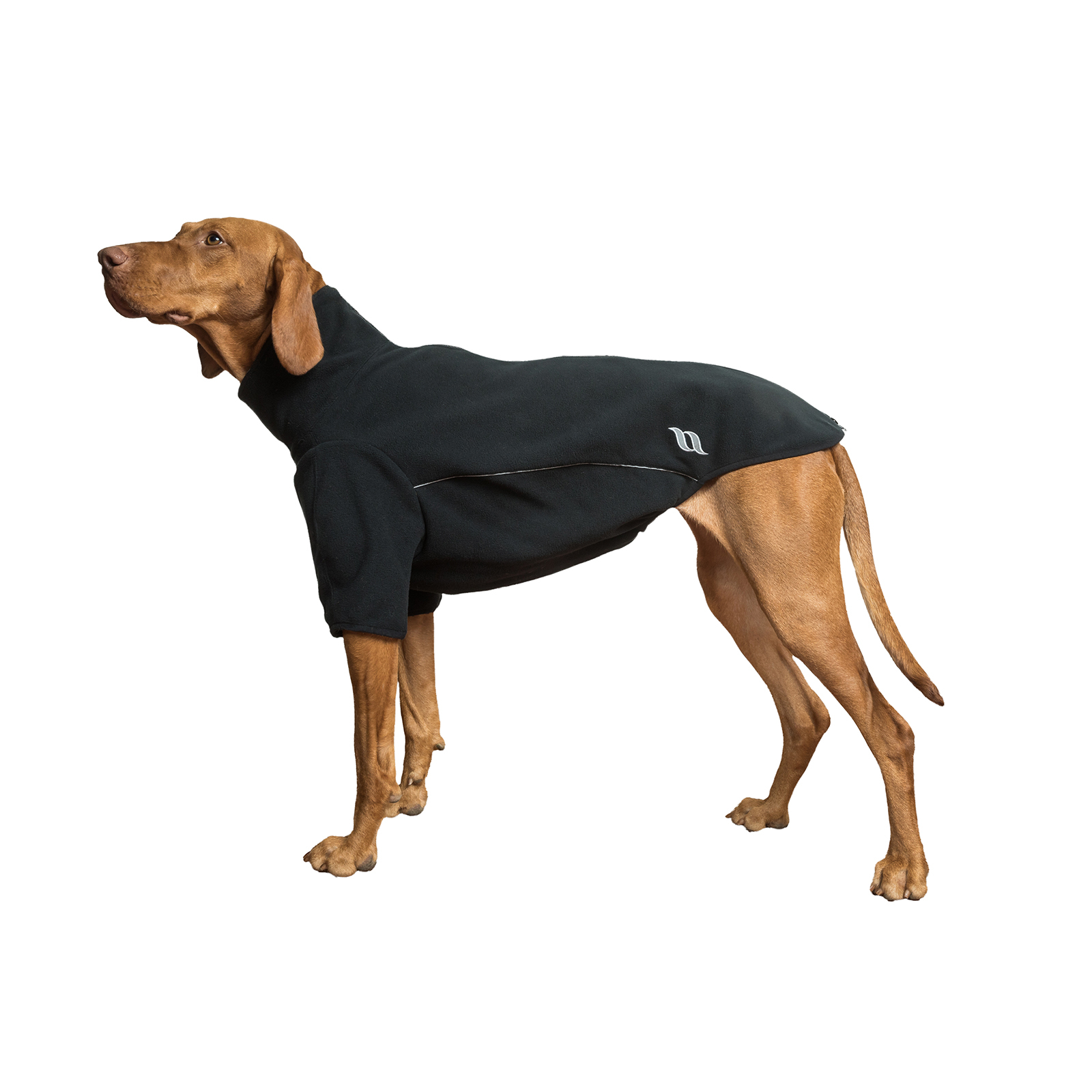 Back on Track Cassie All-Weather Jumper, 35-40 cm