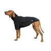 Back on Track Cassie All-Weather Jumper, 35-40 cm