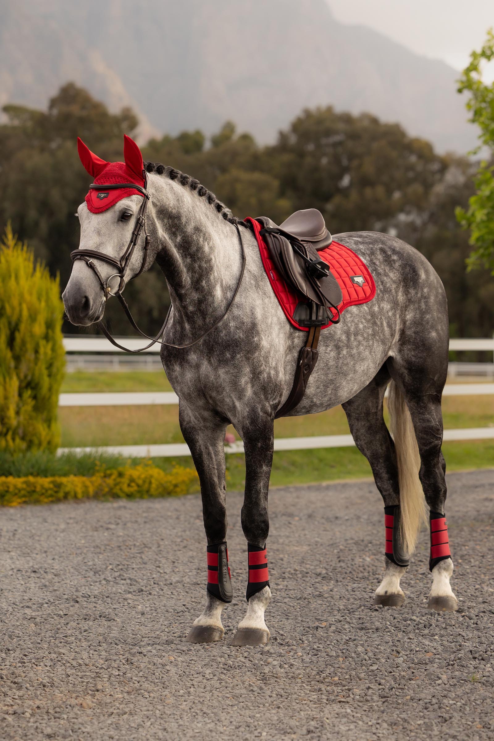 LeMieux Loire Classic veelzijdigheidsschabrak