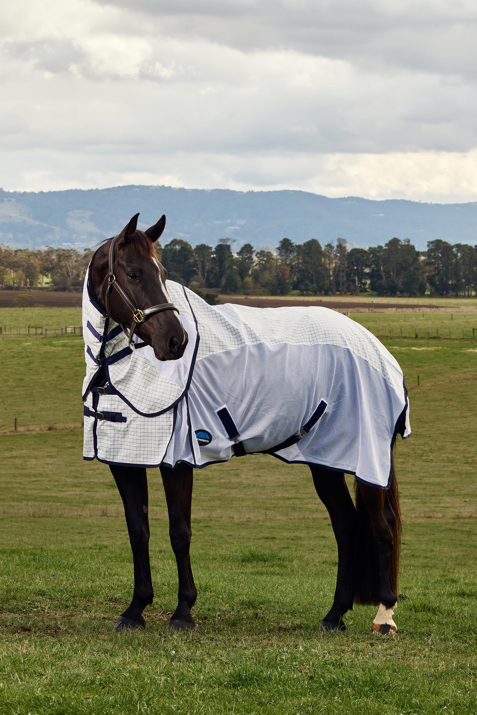 Weatherbeeta Airstream Combo met vaste hals, 0 g  