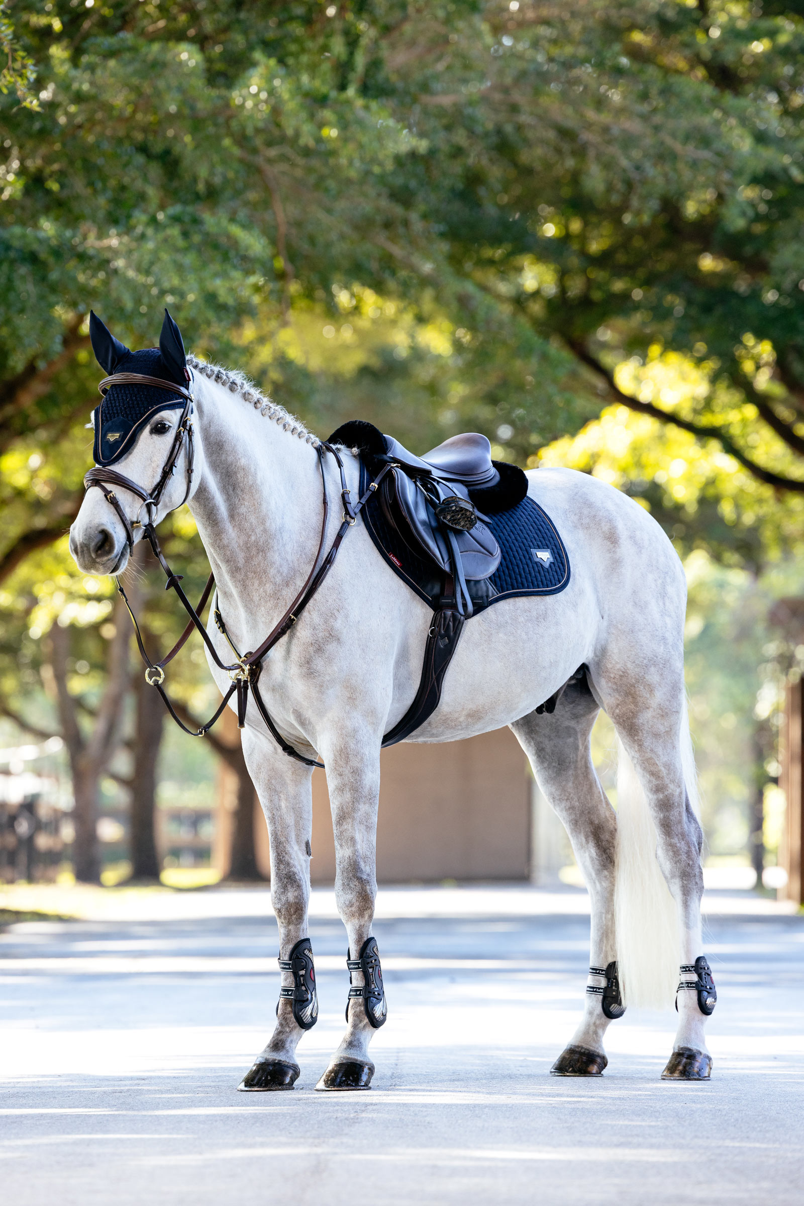 LeMieux Puissance Close Contact springzadeldek van imitatiesuède