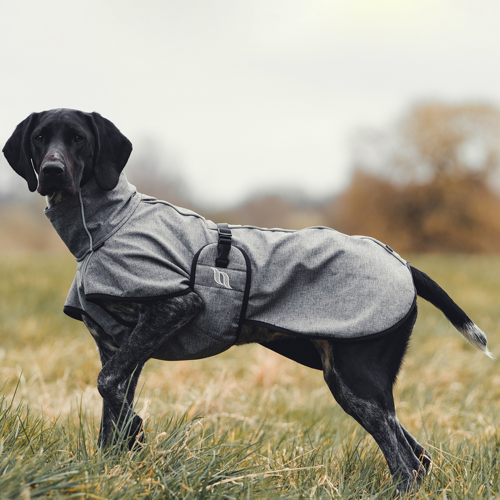 Back on Track Bark Allround Hondendeken, 25-35 cm