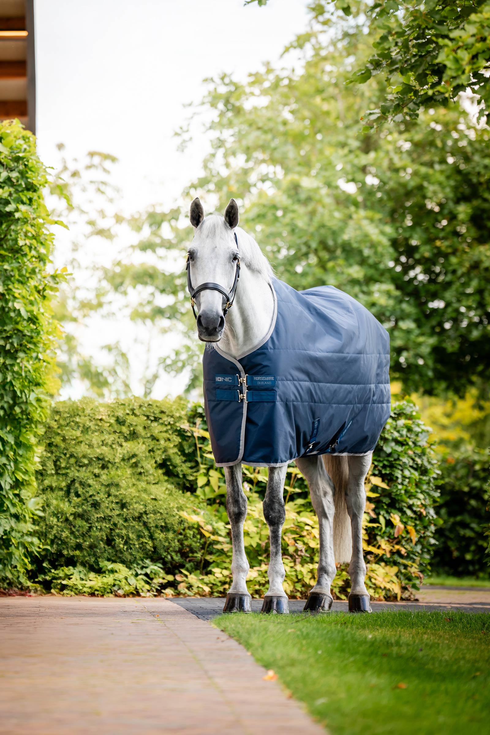 Horseware Ionic Therapy Staldeken, 50g