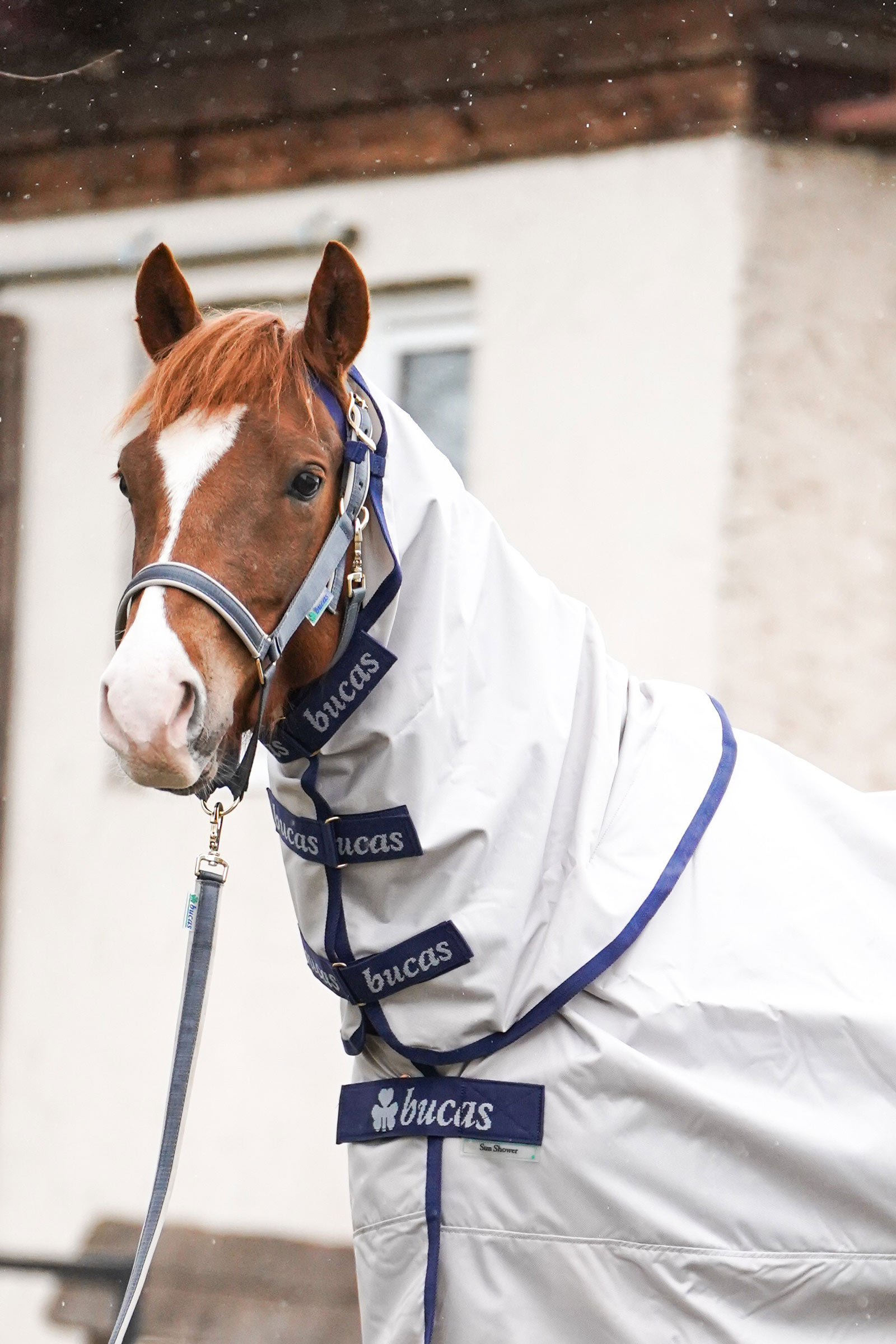 Bucas Sun Shower Halsstuk, 0 g