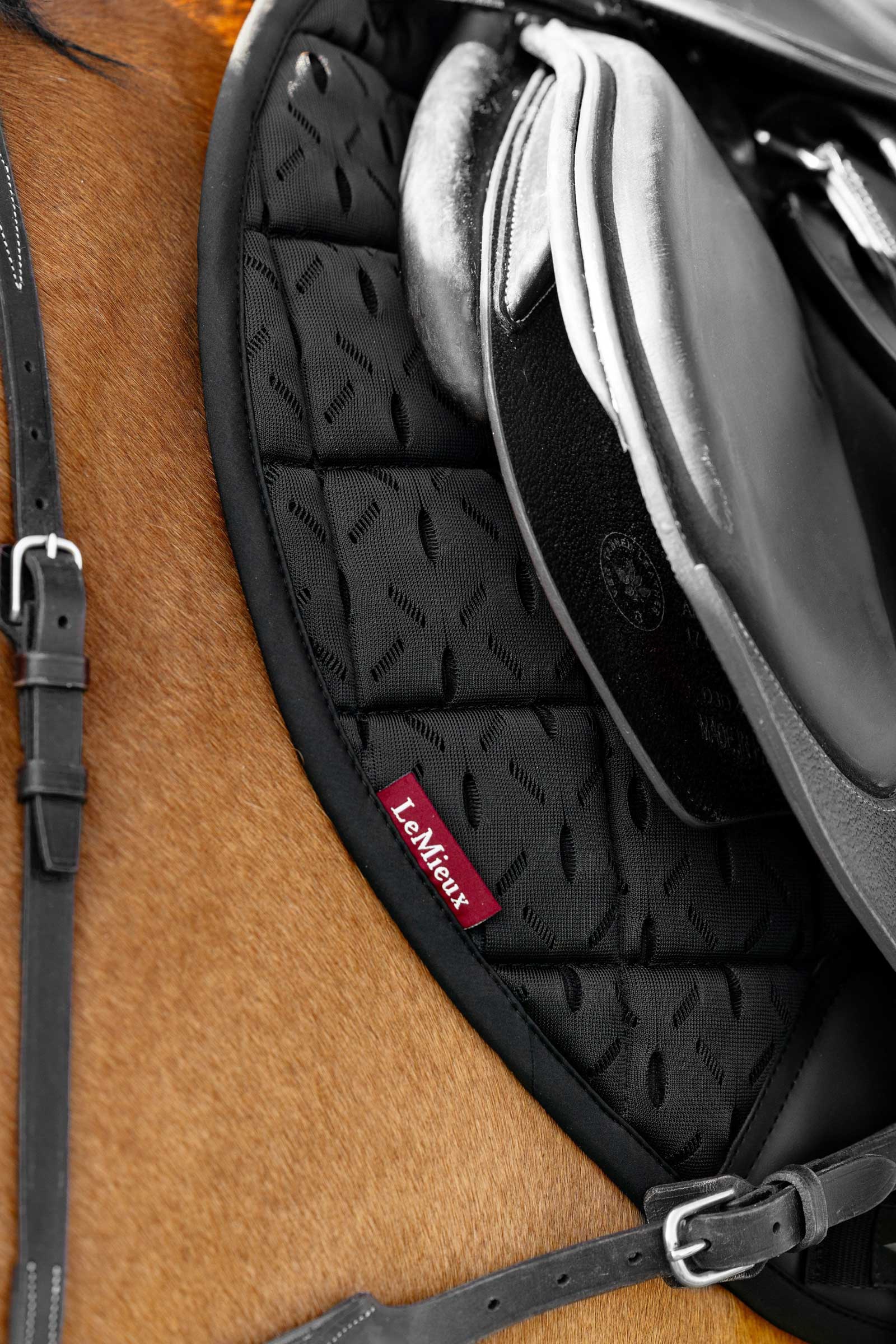 LeMieux 3D Mesh Self-Cool Eurojump Springzadeldek