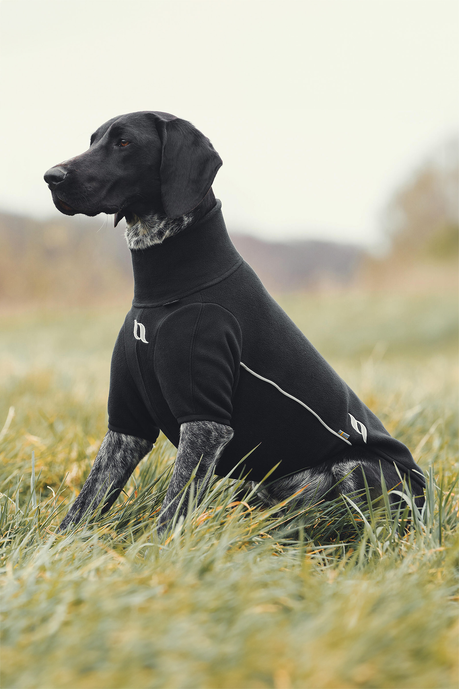 Back on Track Cassie All-Weather Jumper, 65-70 cm