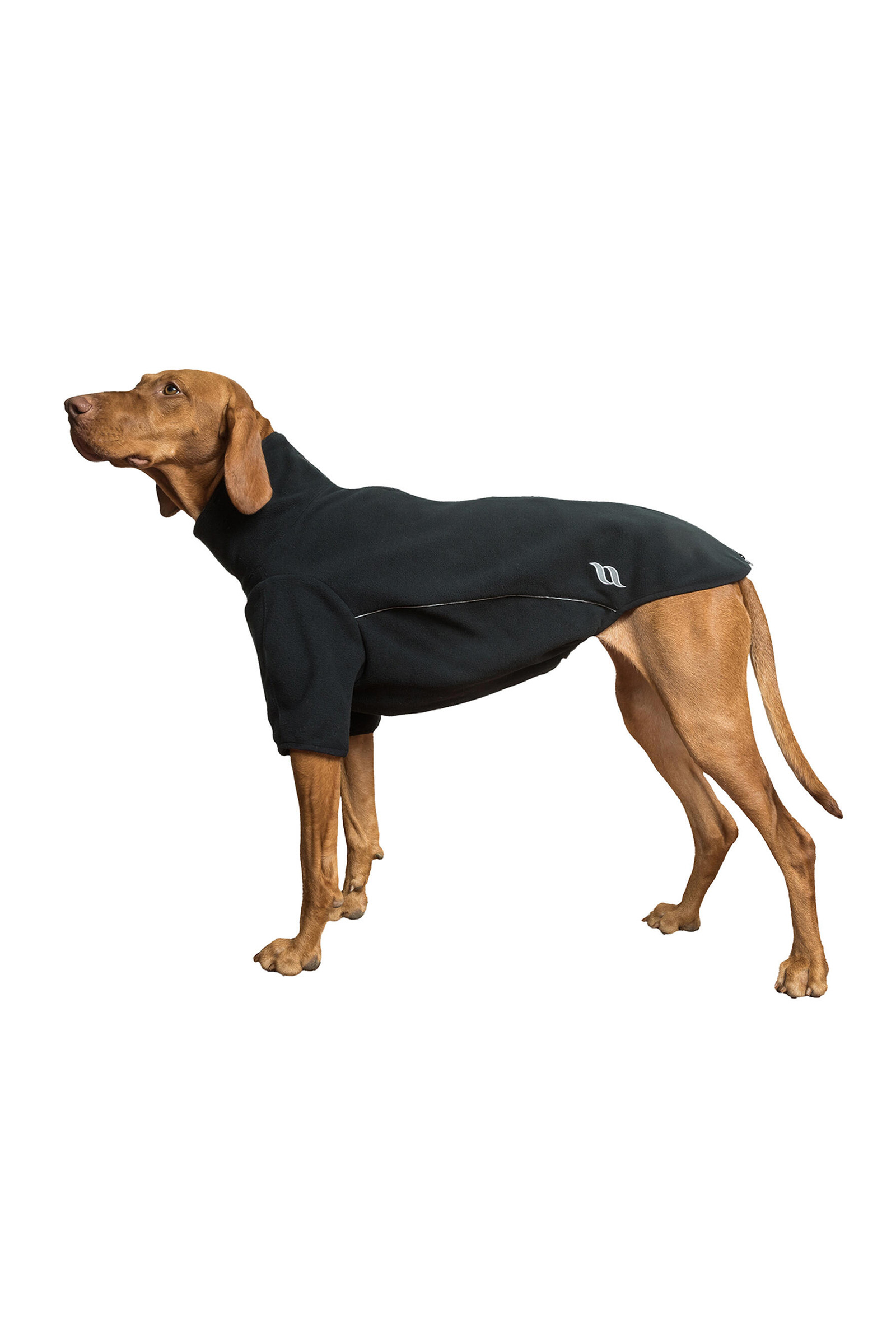 Back on Track Cassie All-Weather Jumper, 45-50 cm