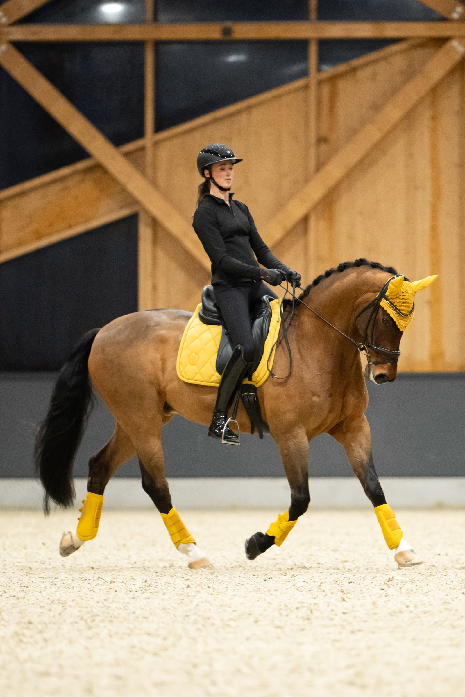 Eskadron Platinum 25 Peesbeschermers van kunstleer