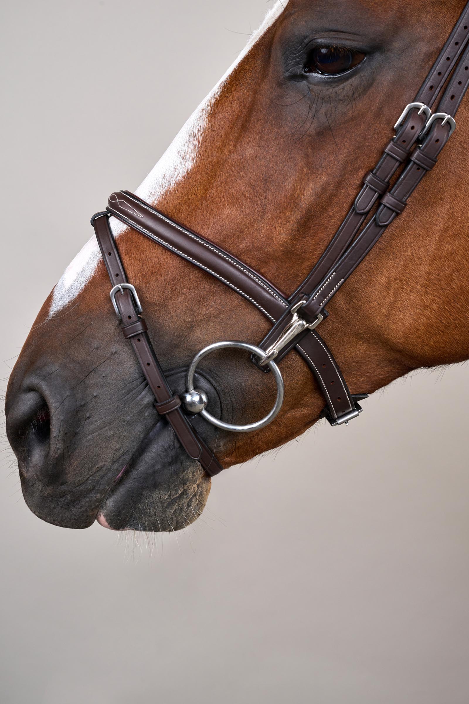 Dy'on Working hoofdstel met gecombineerde neusriem en karabijnhaken  