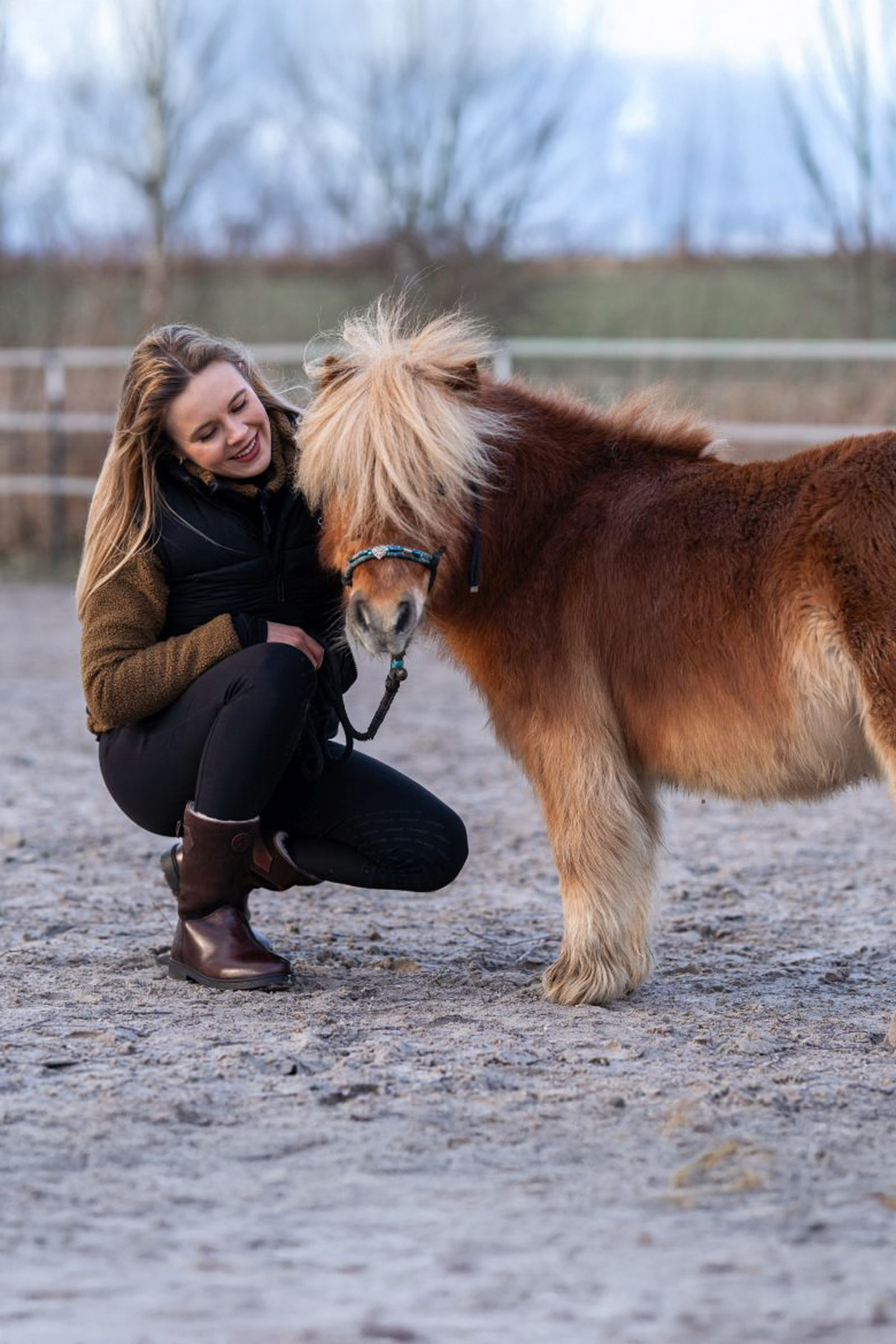 Suedwind Footwear Leo Merino winterrijlaarzen met halve schachthoogte