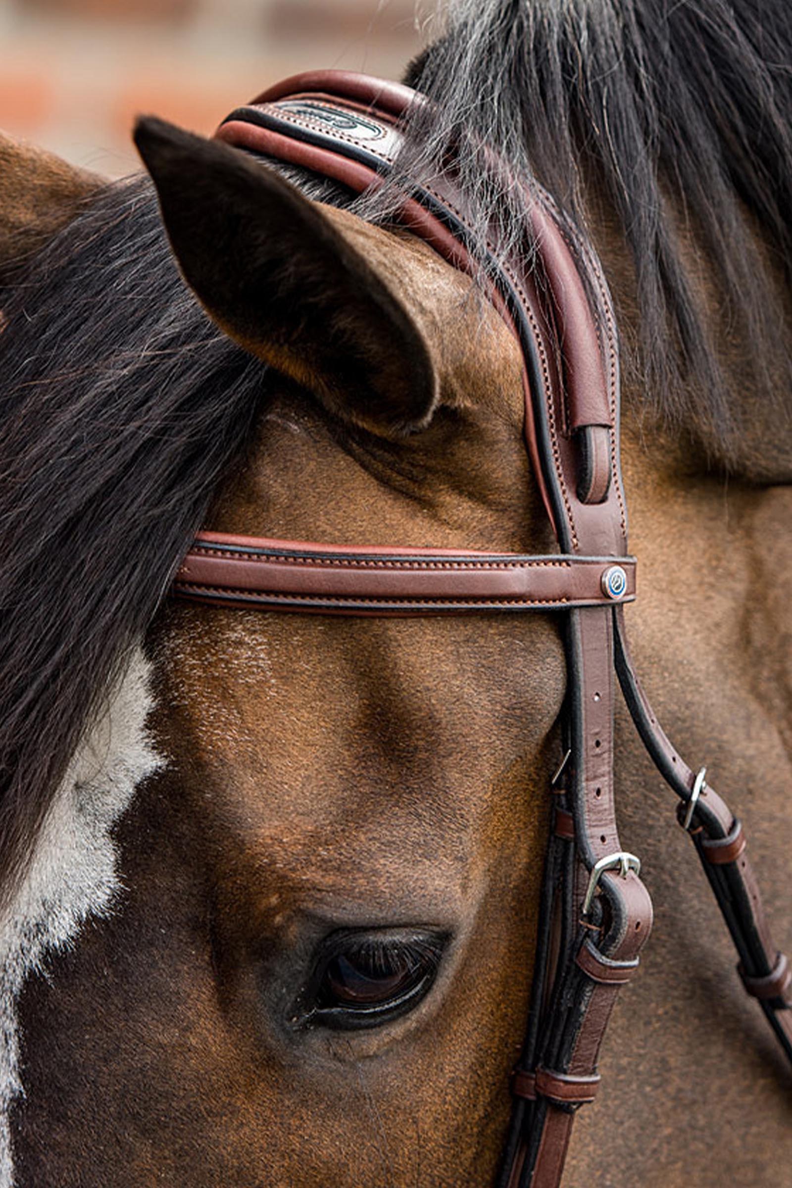 Trust Equestrian Geneva Combined Noseband Bridle