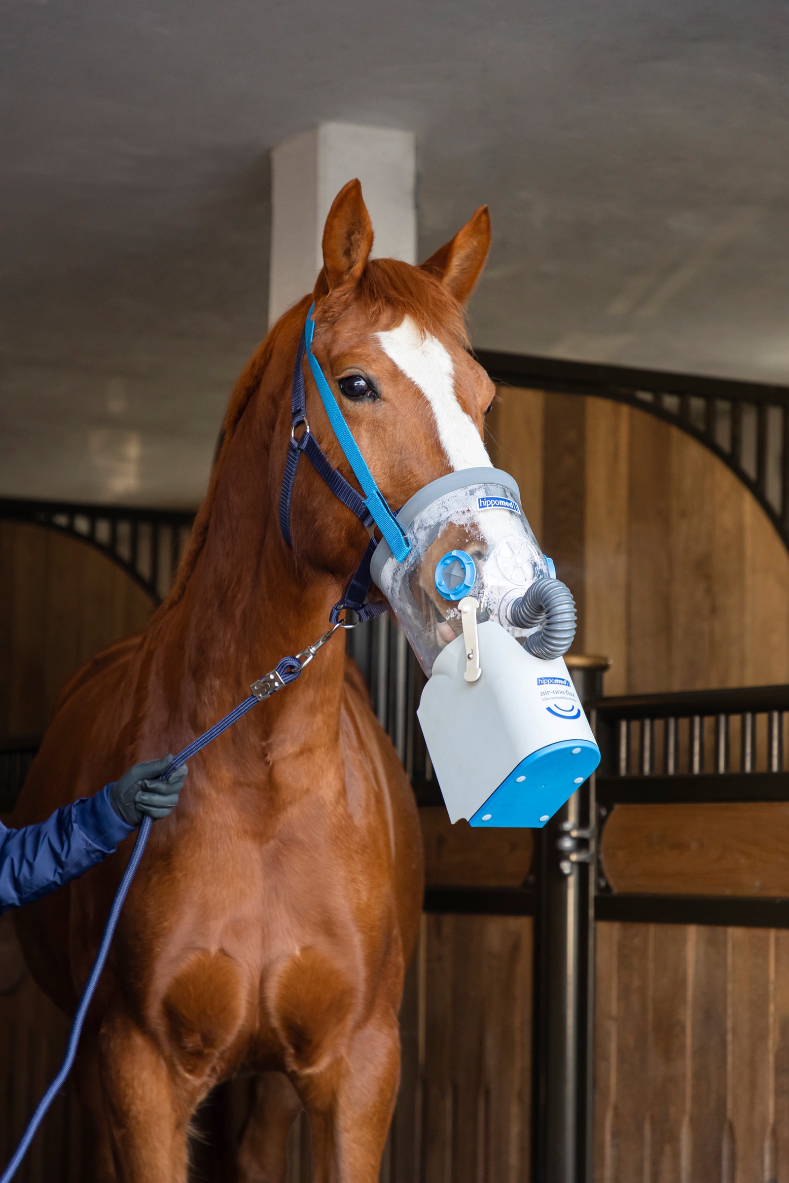 Hippomed AirOne Flex Battery Ultrasound Inhalator met Masker, Warmbloed