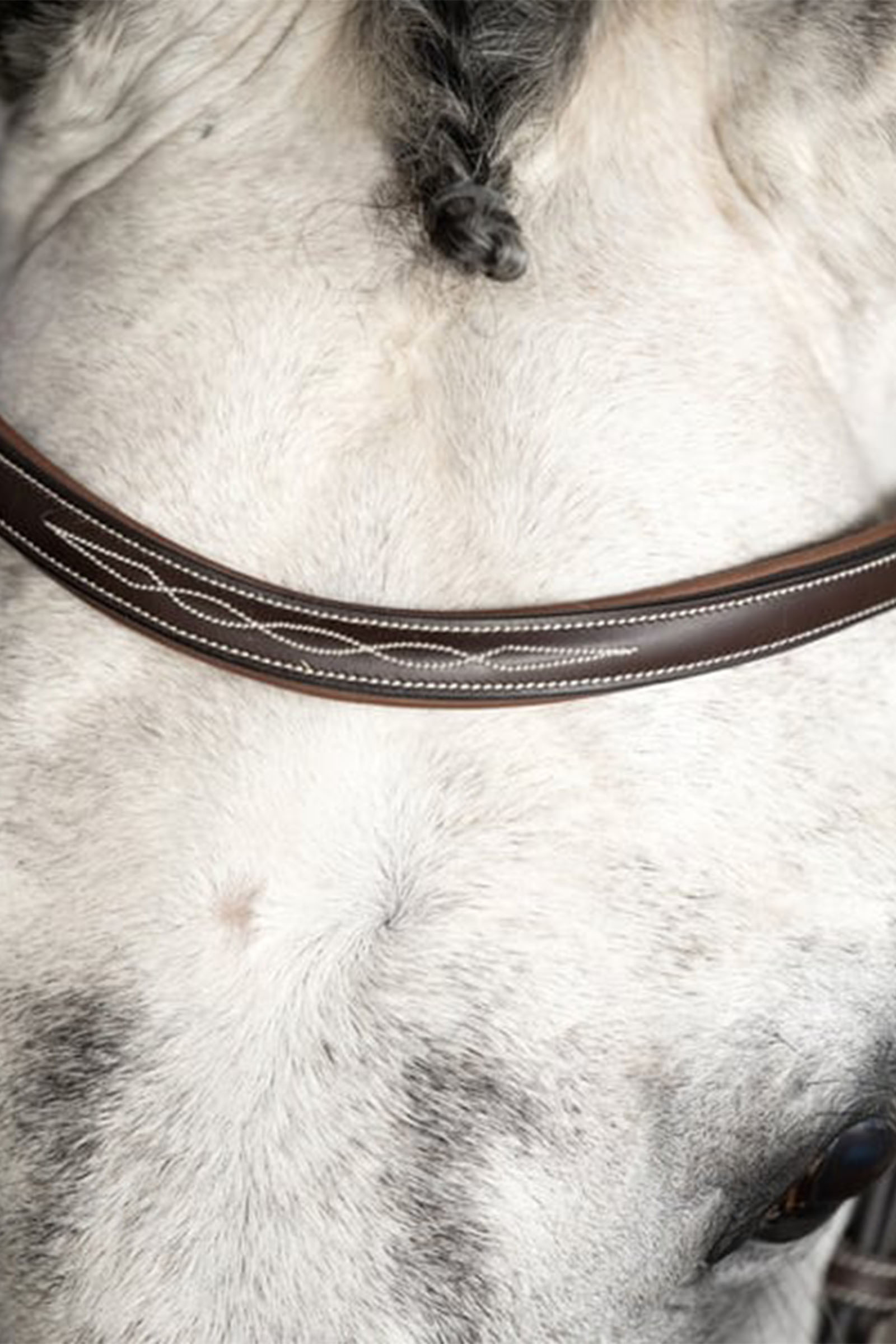 PS of Sweden Ocala hoofdstel