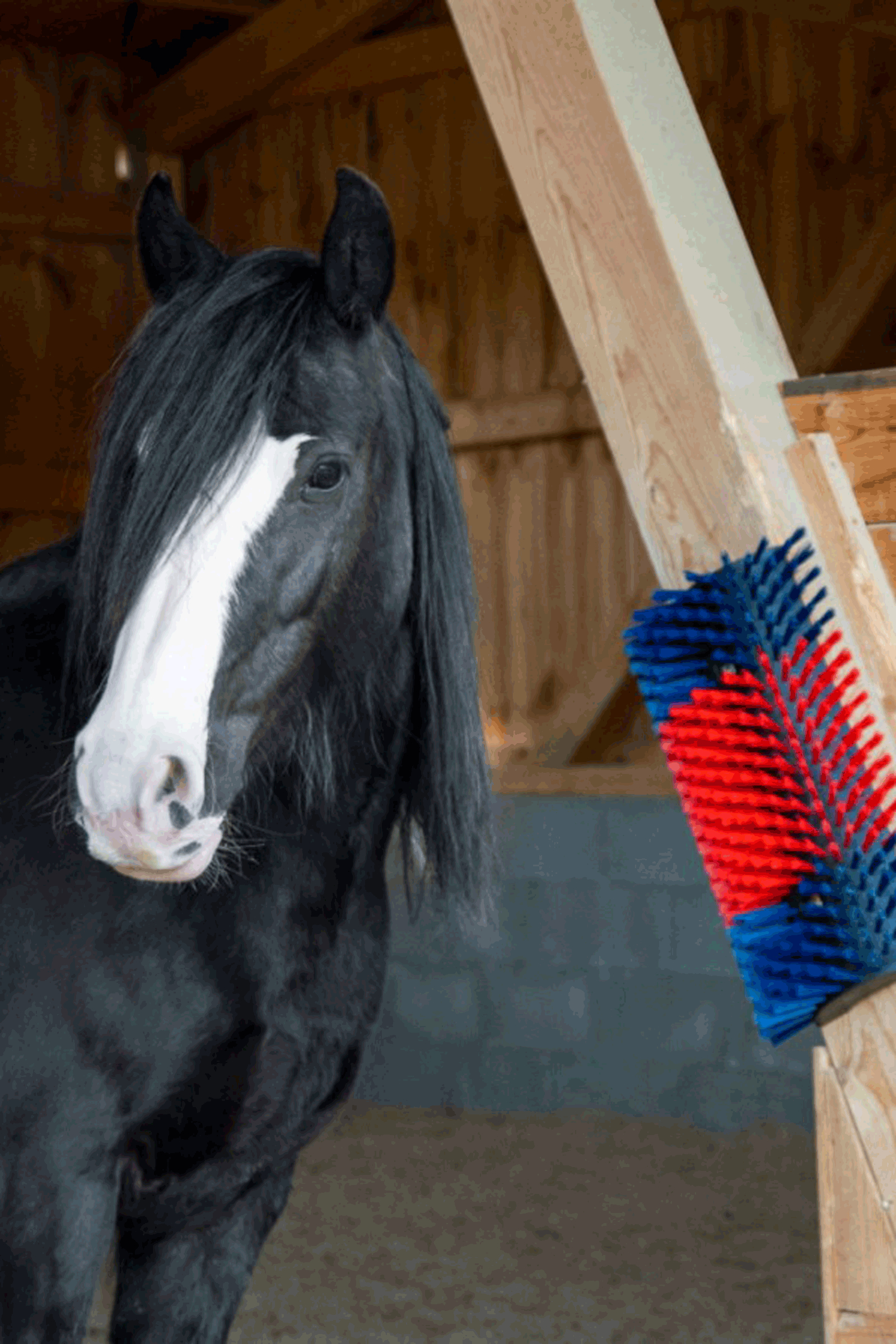 Kerbl XL krabborstel, rond