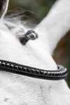 Horseware Diamante hoofdstel met sperriem
