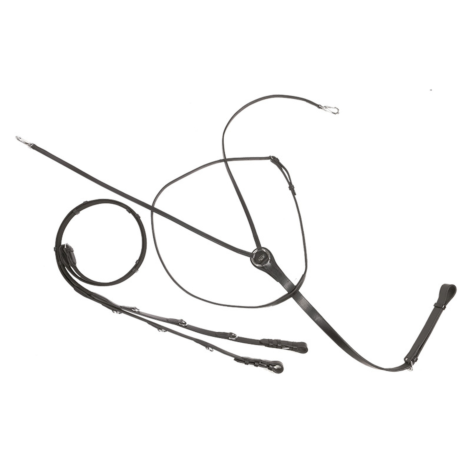 Kavalkade Market Harborough/Thiedemann Martingaal