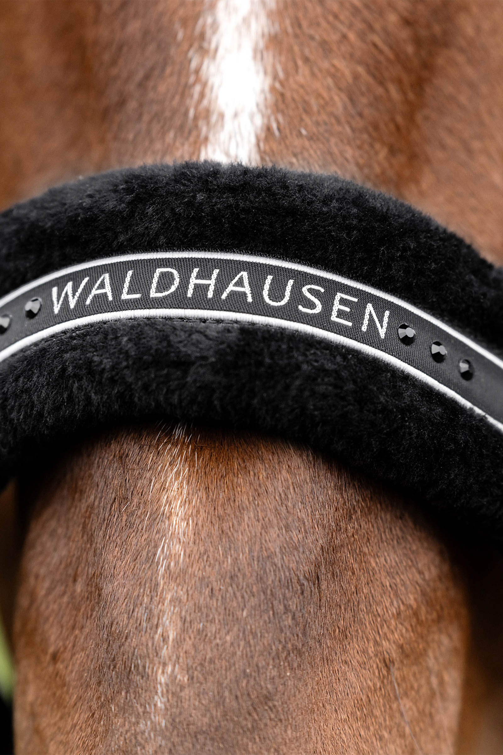Waldhausen Elegant halster