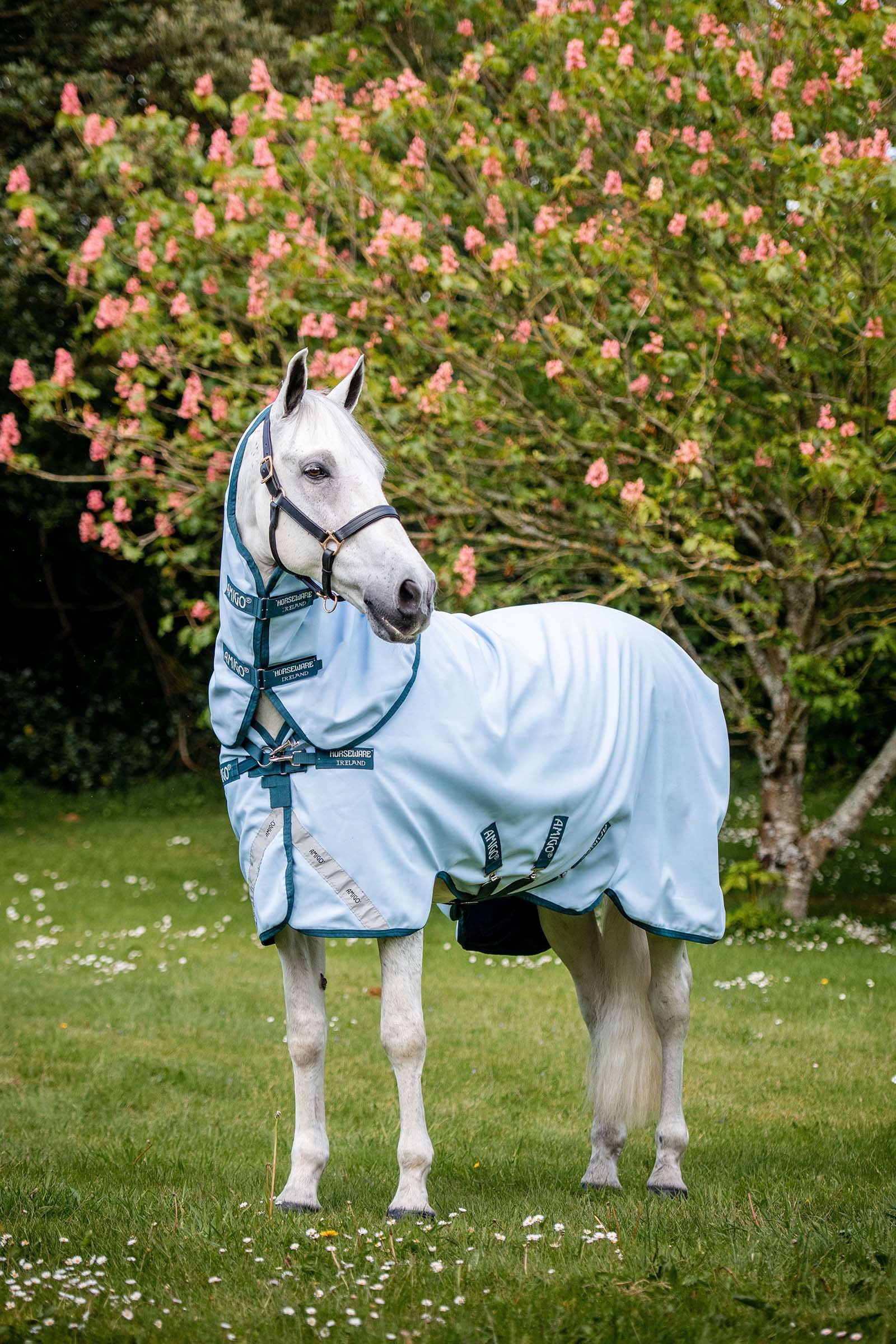 Horseware Amigo Plant Dye Turnout deken, 50 gram