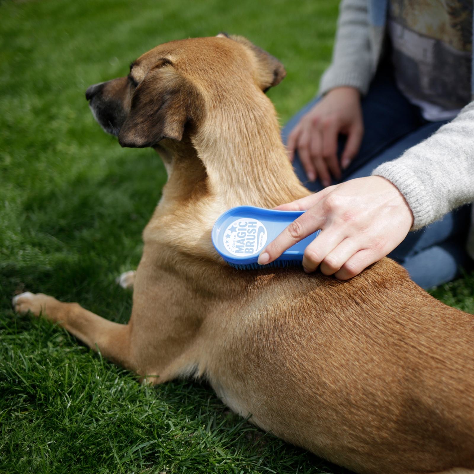 Kerbl MagicBrush DOG Blue Sky