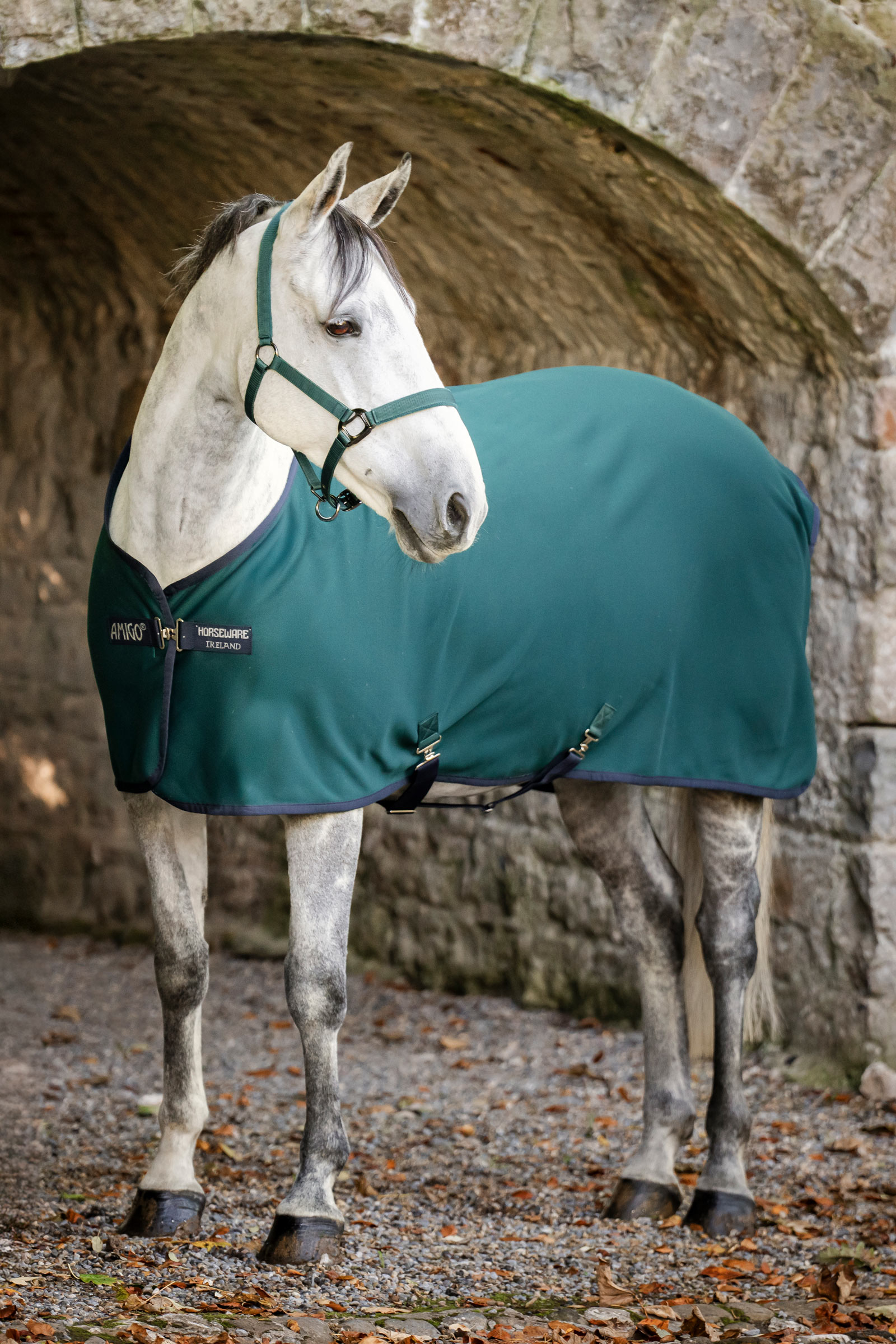 Dynasty Green/Navy/Silver Horseware Amigo jersey zweetdeken