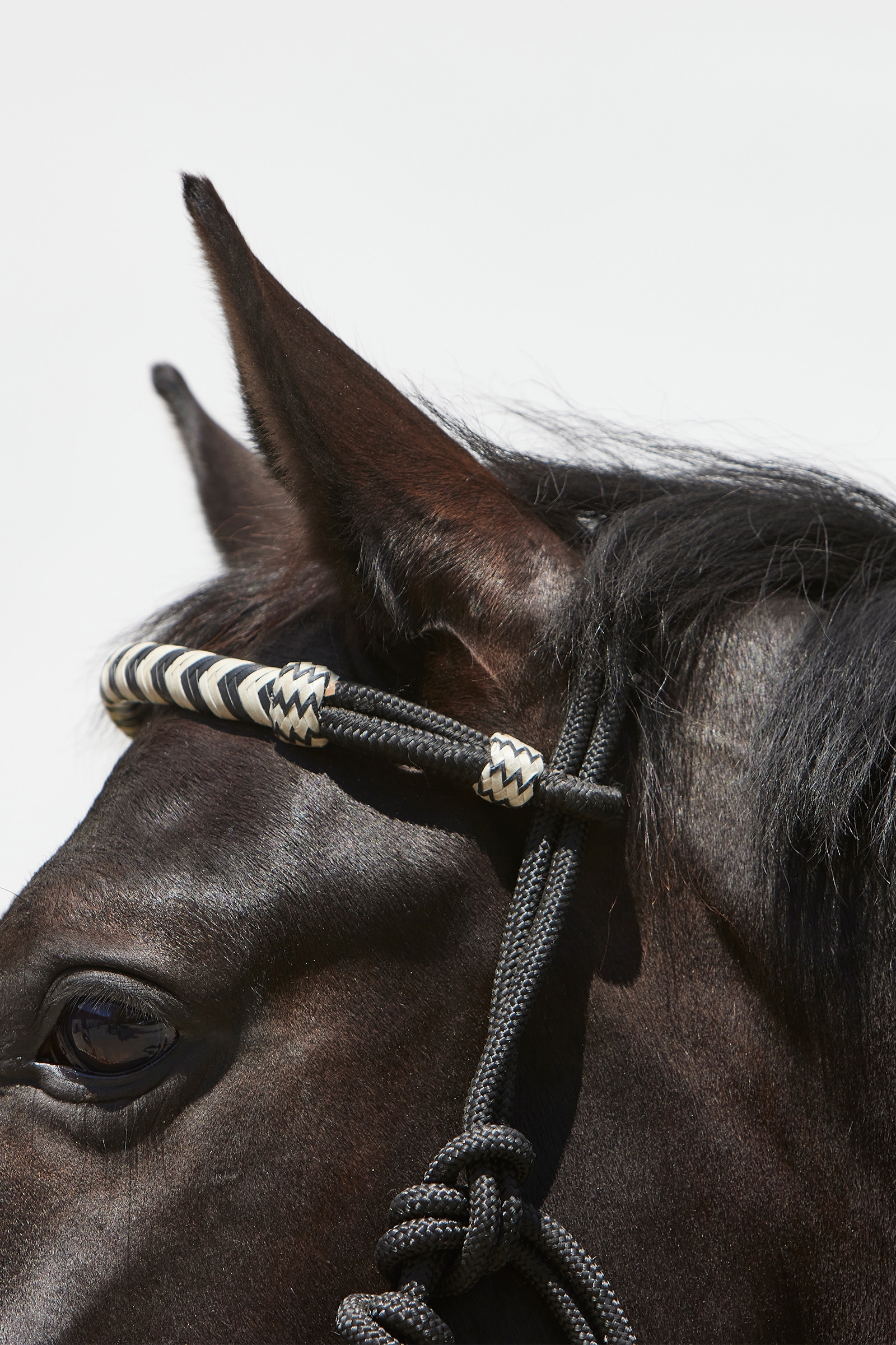 Kieffer Enya touwhalster