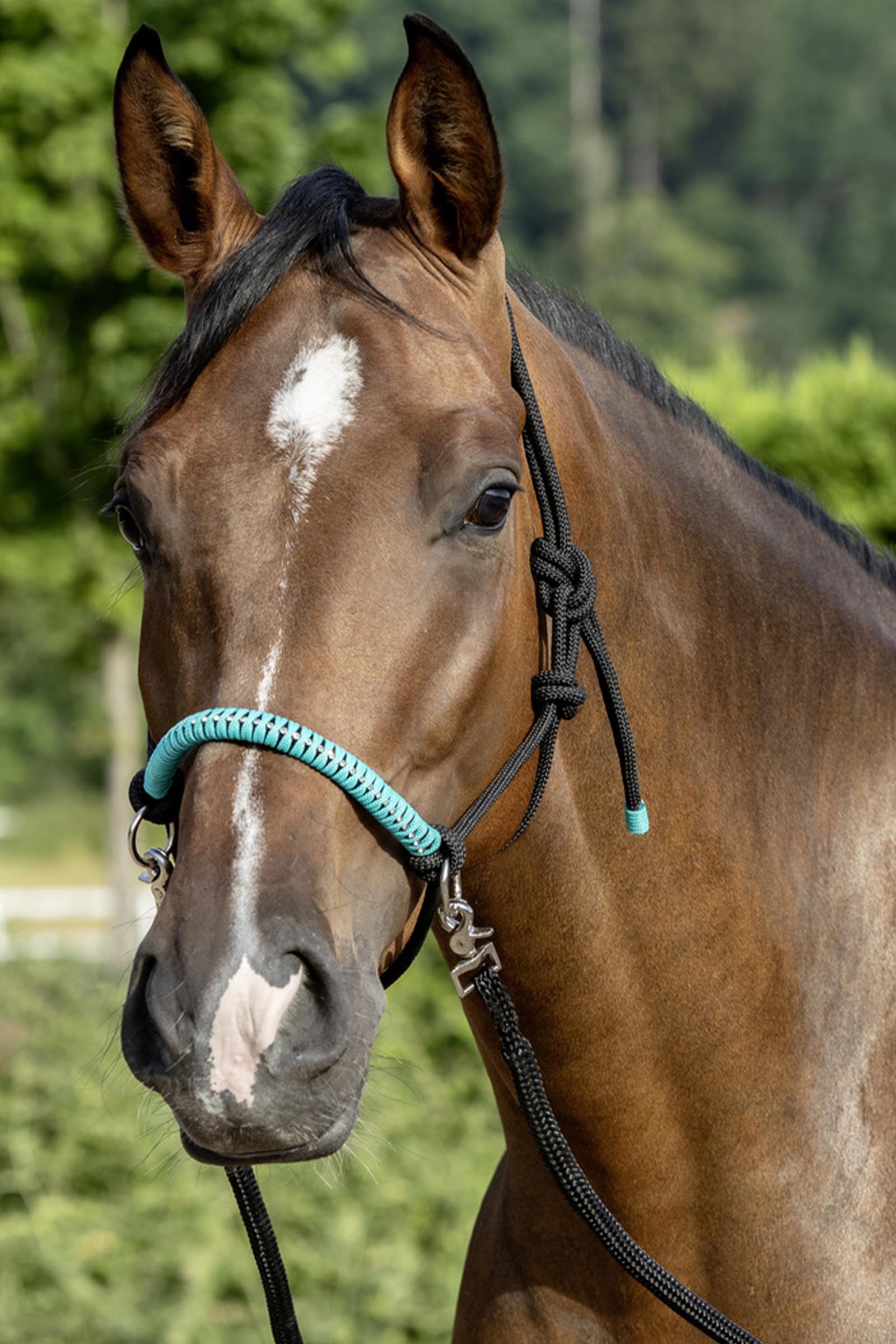 USG knoophalster met teugels