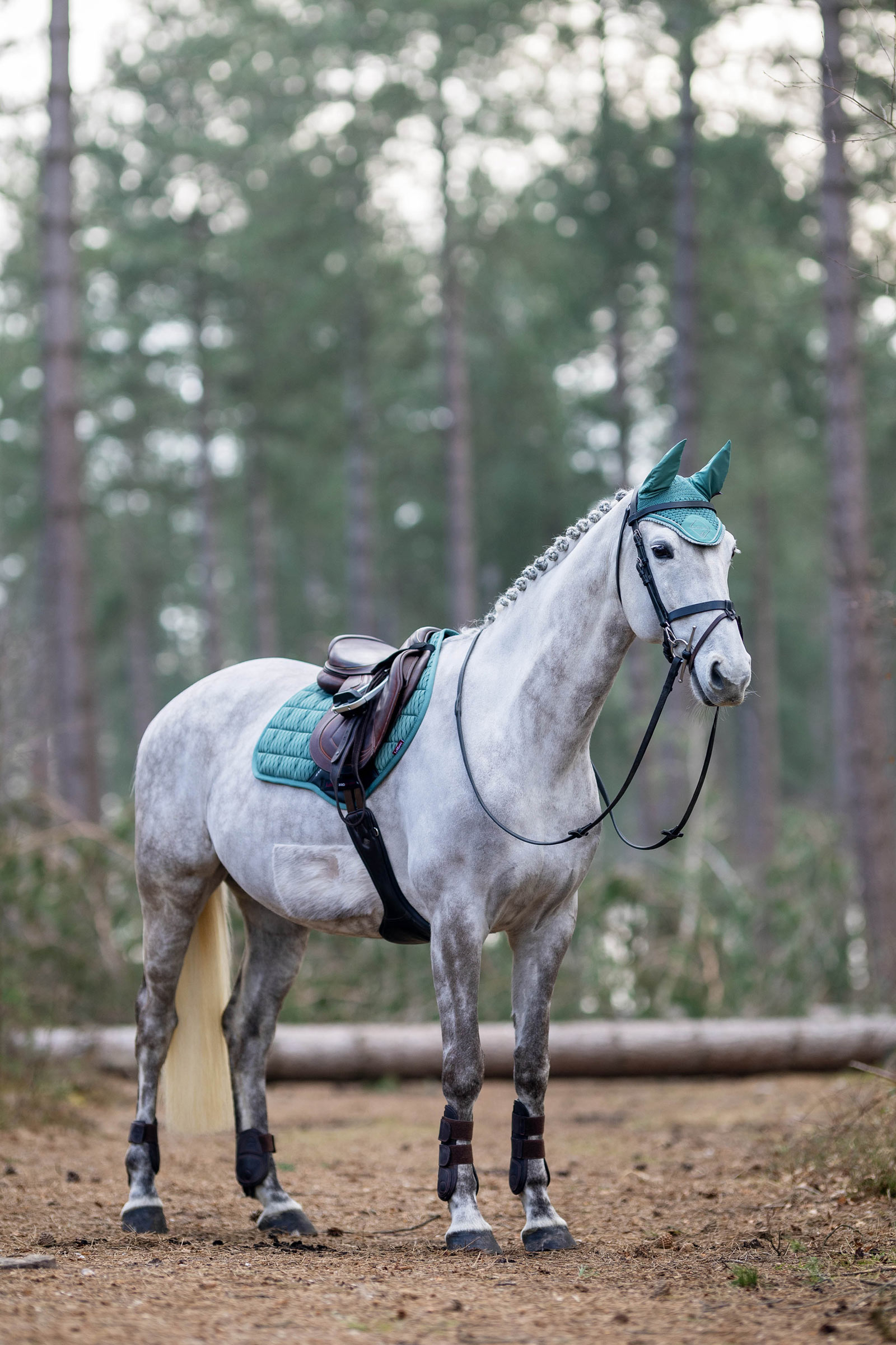 LeMieux Classic Oornetje