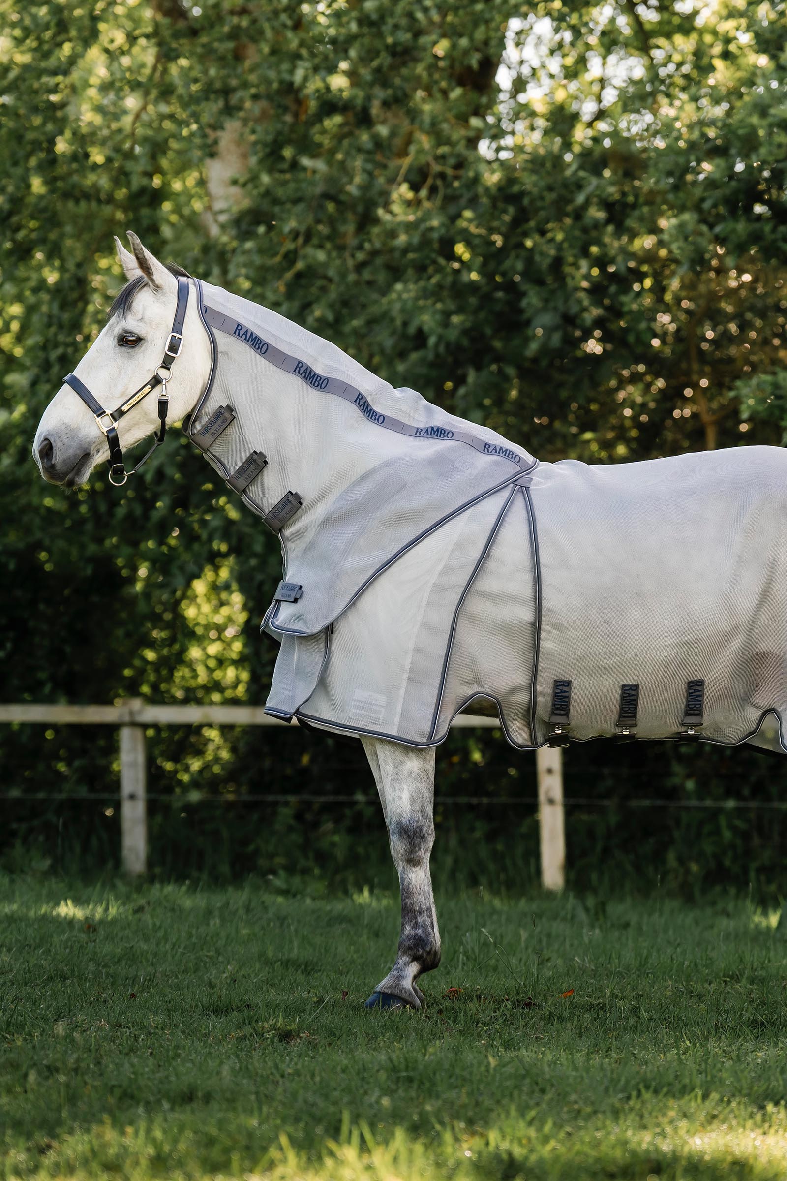 Horseware Rambo Optimo Protector Plus regendeken