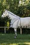 Horseware Rambo Optimo Protector Plus regendeken