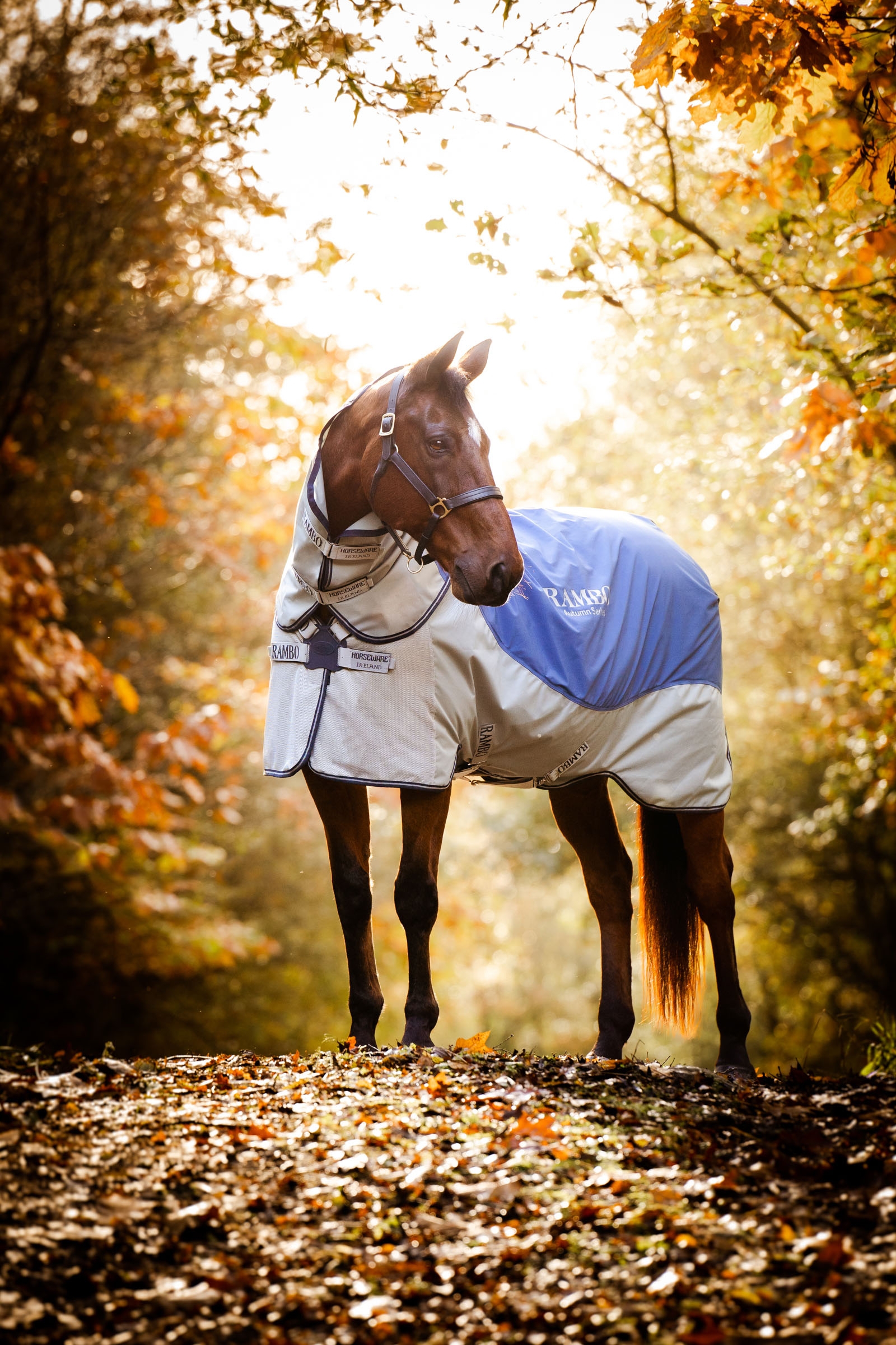 Horseware Rambo Autumn Series buitendeken met onderdeken (0 g / 100 g)