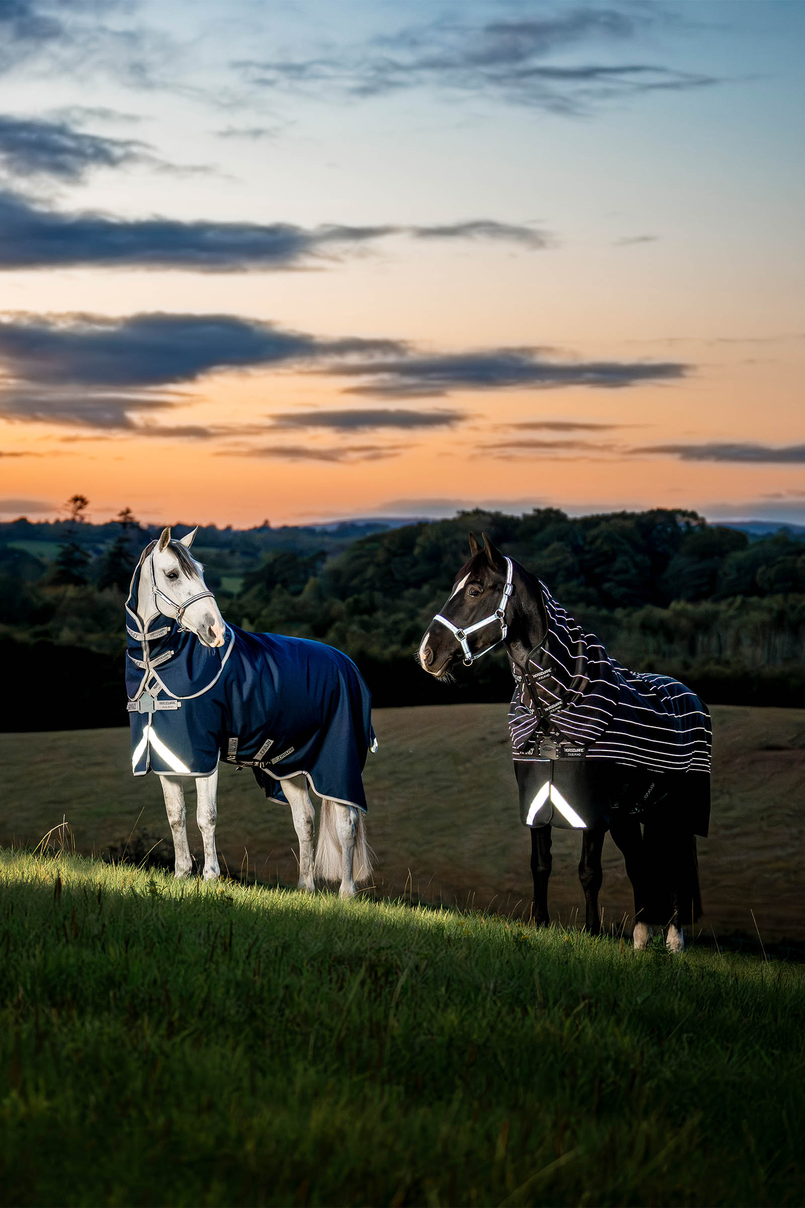 Horseware Amigo 1200D FieldSafe Plus turnoutdeken, 100 g