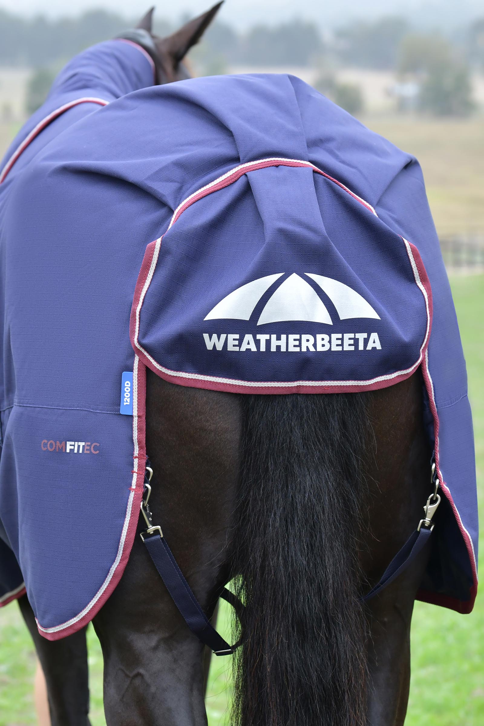 Weatherbeeta ComFiTec Essential Outdoor deken met afneembare hals, 50 g  