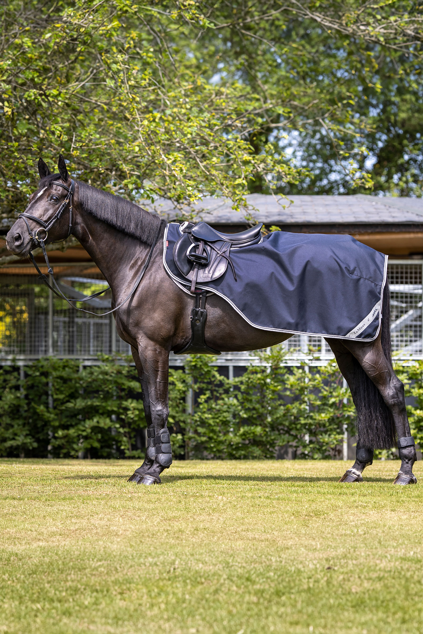 LeMieux Arika oefendeken