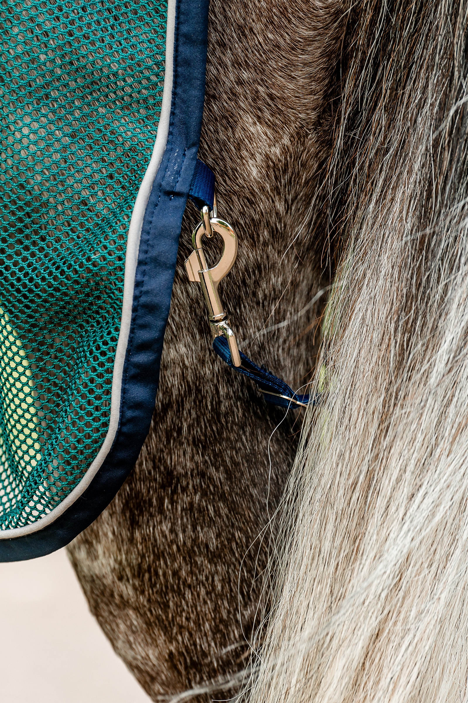 Horseware Signature Sport Zweetdeken