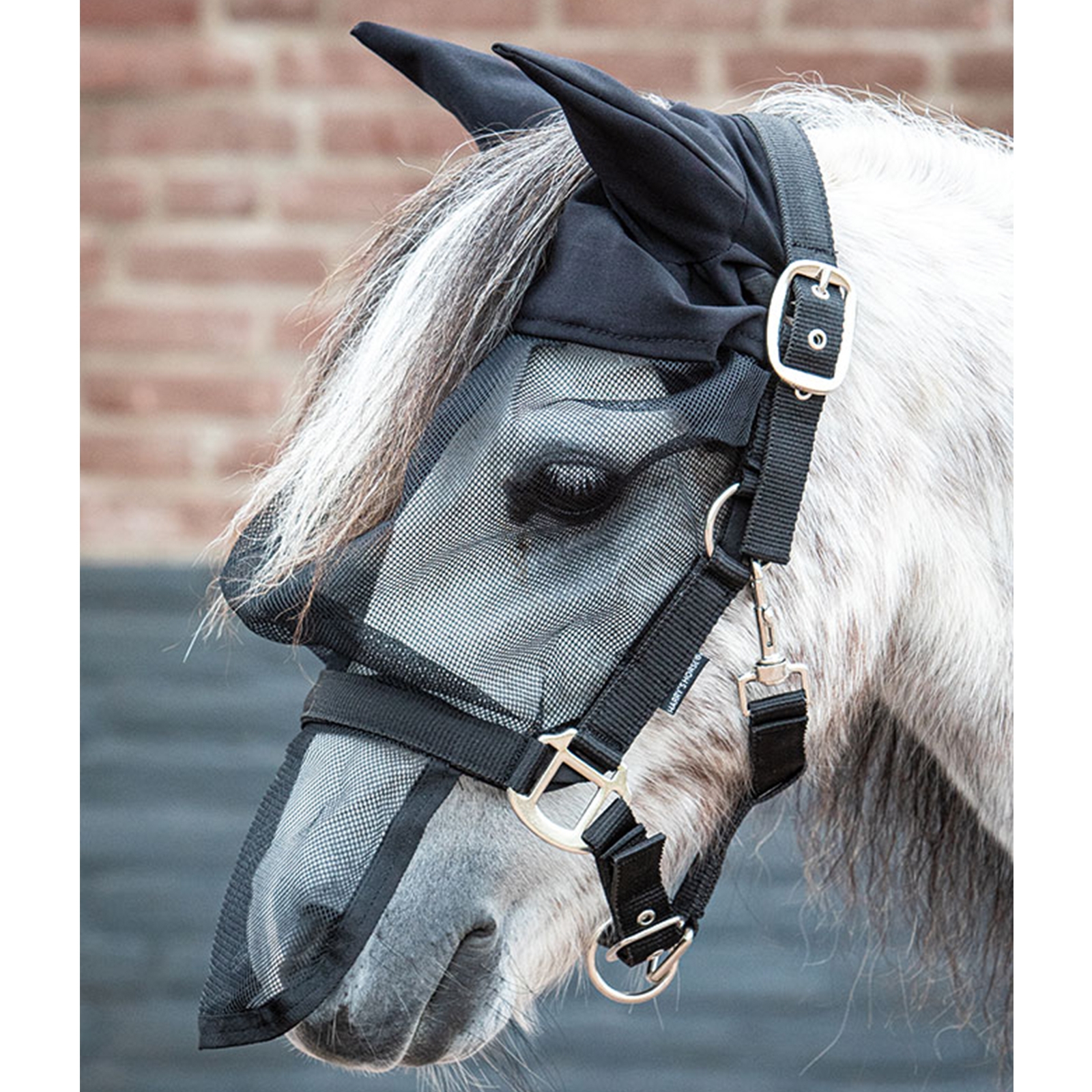 Harry's Horse Fly Mask Headcollar with Ears