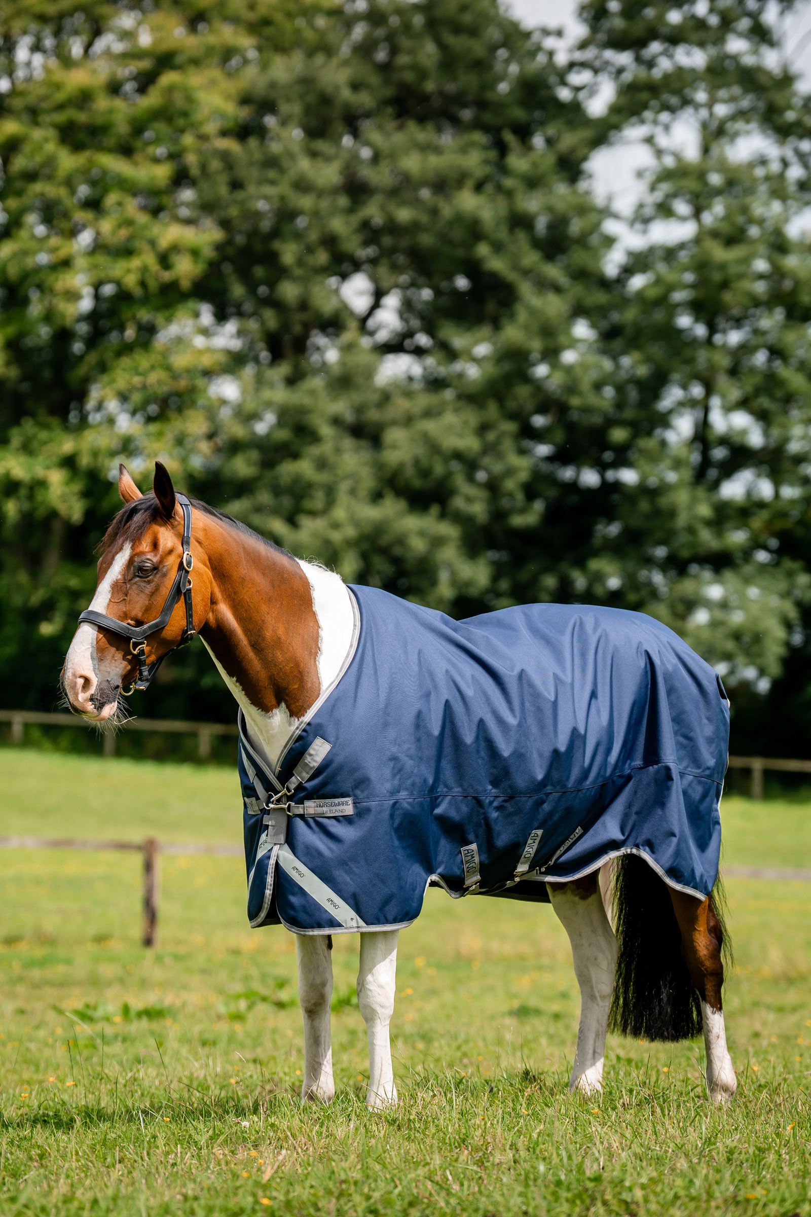 Horseware Amigo 1200D turnoutdeken, 250 g