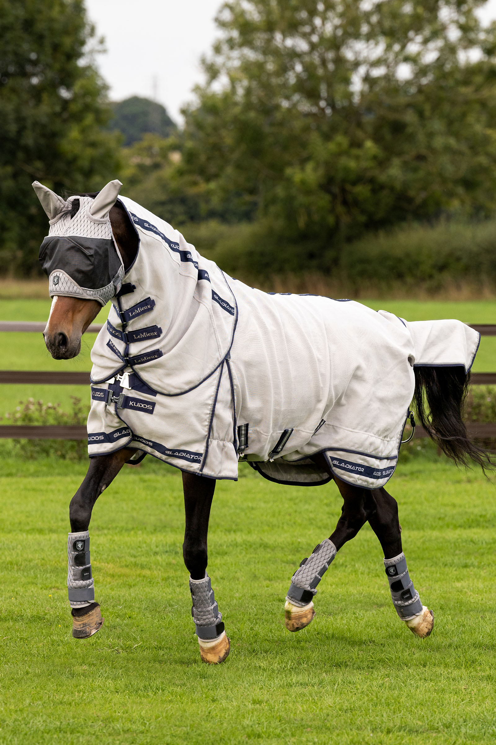 LeMieux Kudos Gladiator vliegendeken