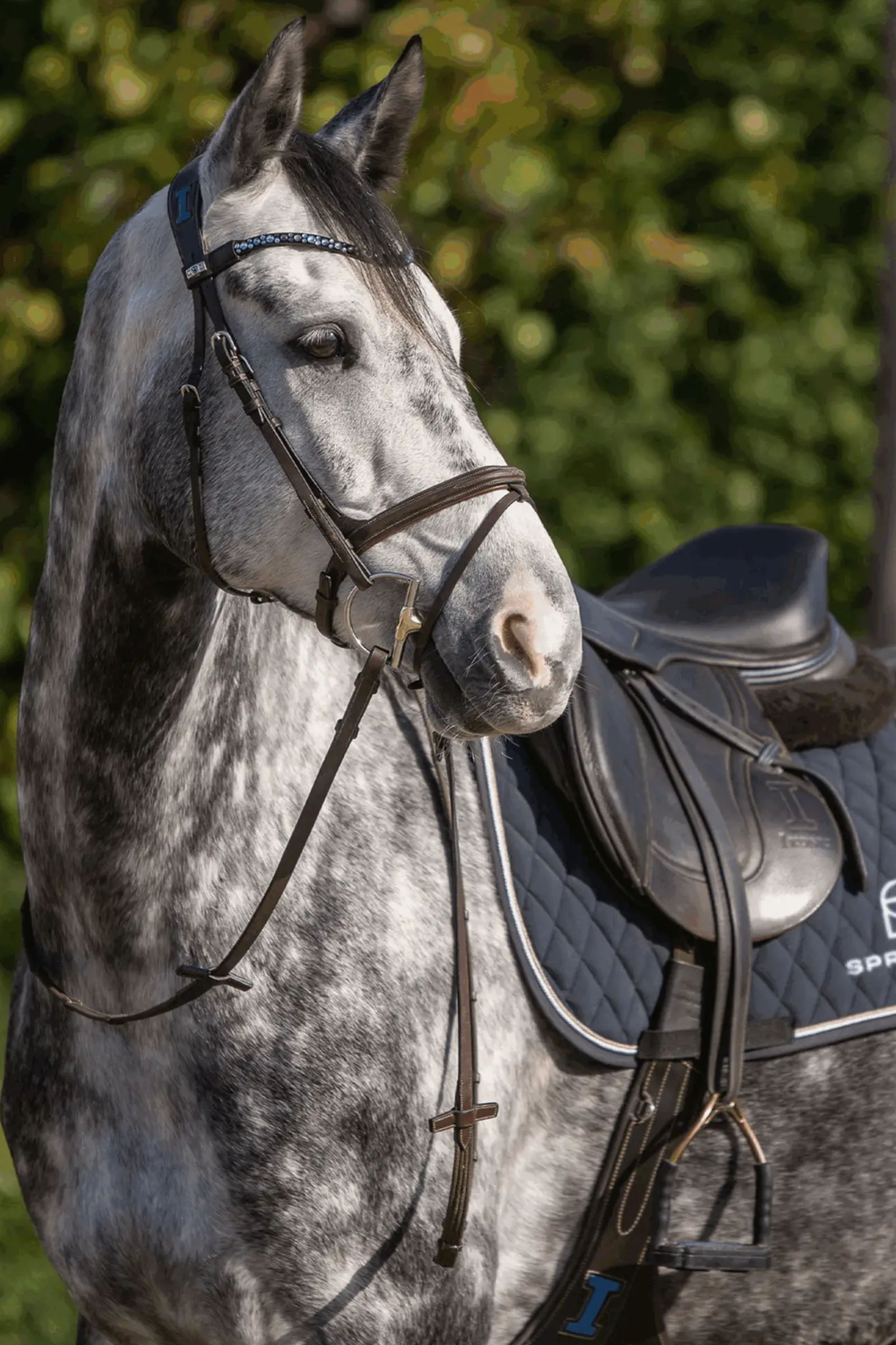 Sprenger Dynamic RS Hunter D ring bit, enkel gebroken, 14 mm, Sensogan  