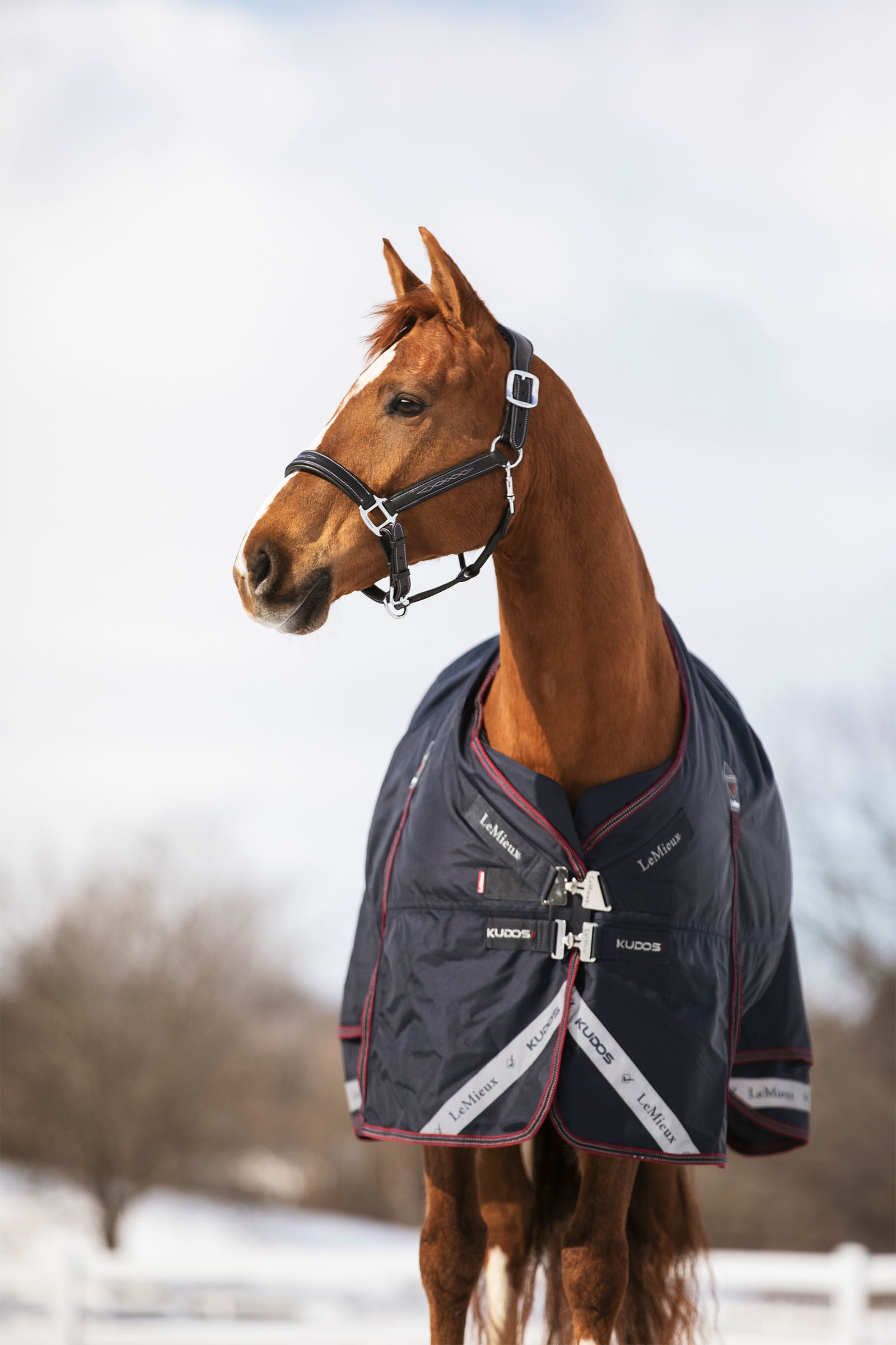 LeMieux Kudos outdoordeken 350g