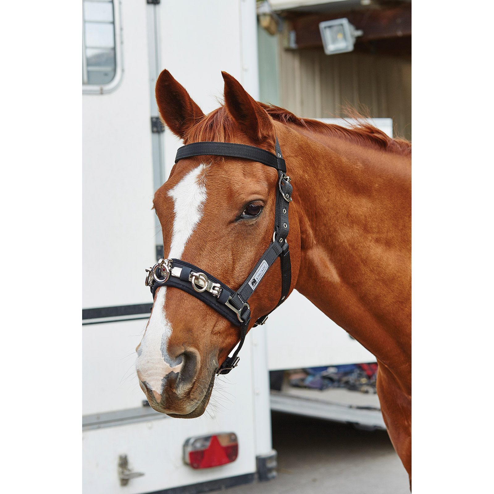 Kincade Coordinate Longeer Kaptoom