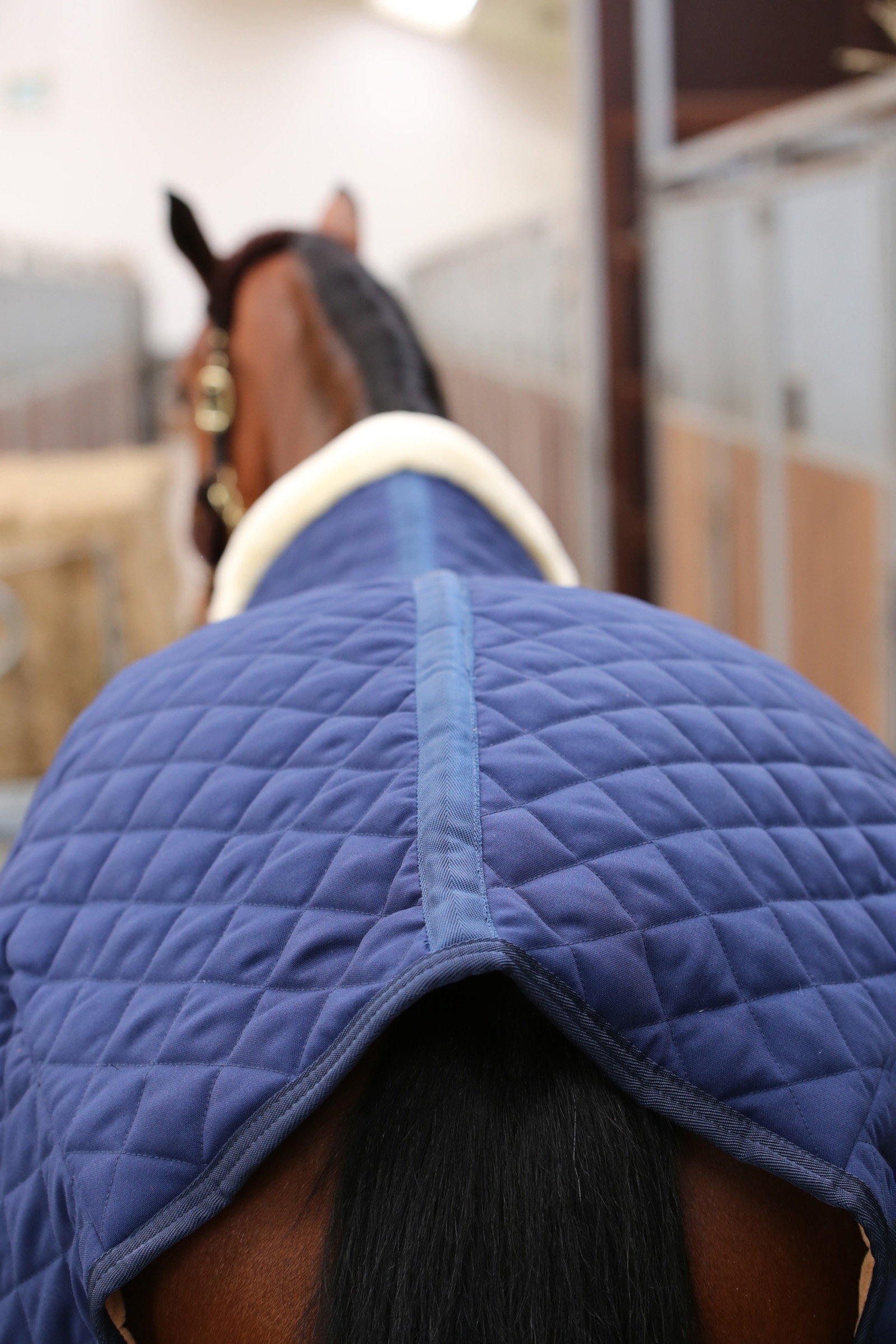 Kentucky Horsewear Staldeken 400g
