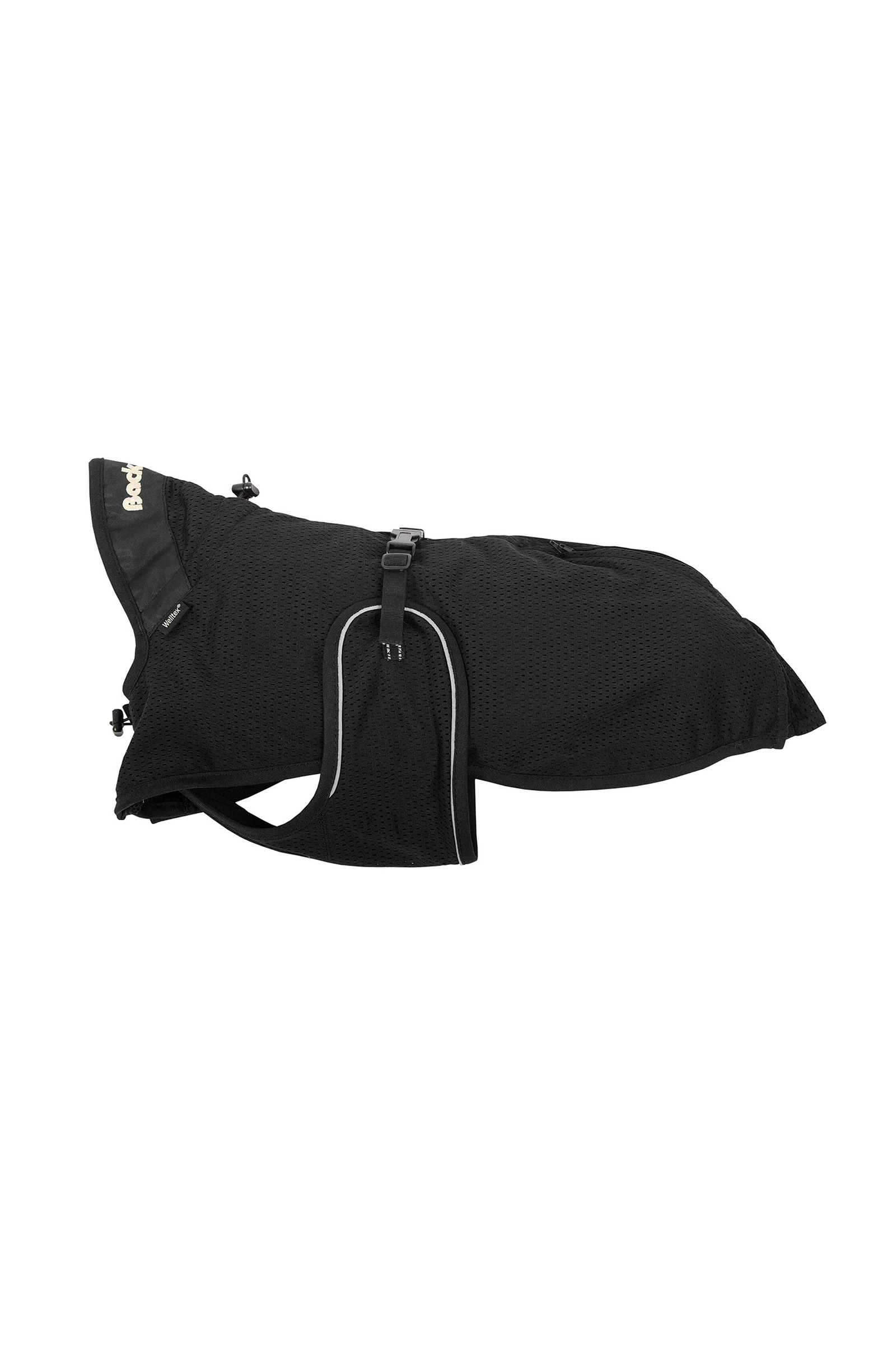 Back on Track Maasdeken Hond