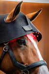 Horseware LED roodlichttherapie nekcap
