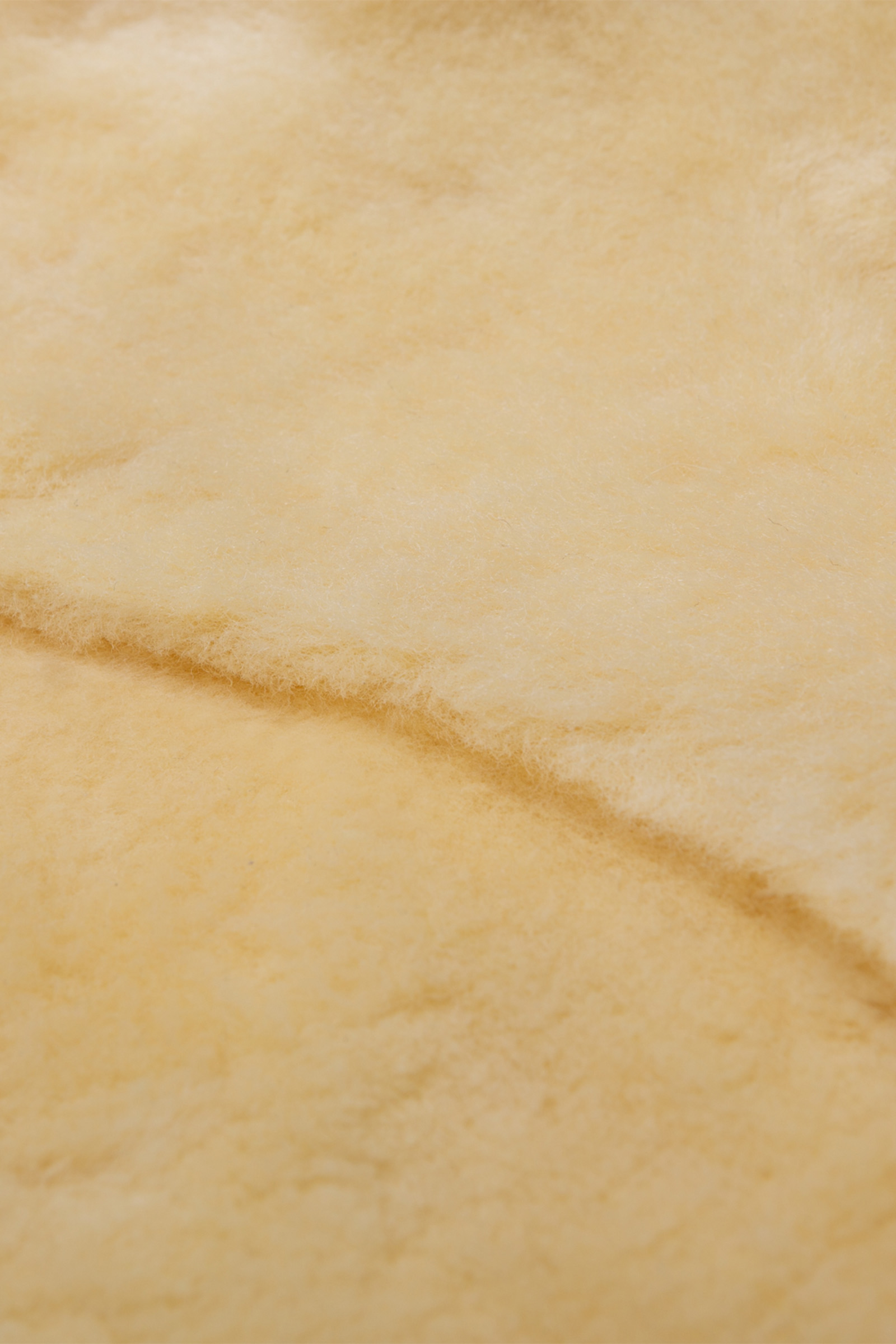 Christ Sjabrak Speciaal, dressuur