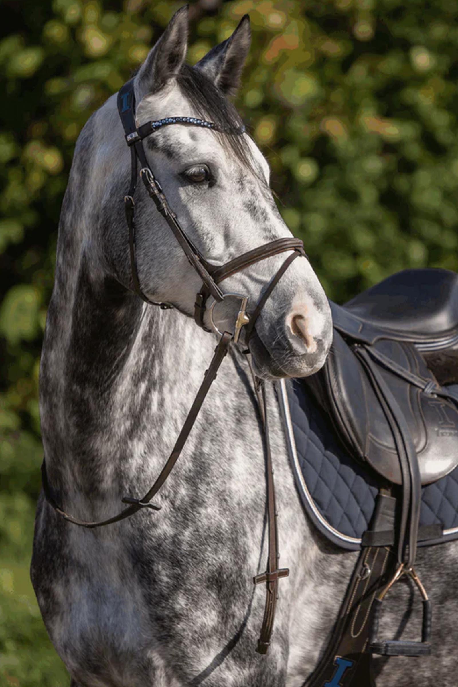 Sprenger Dynamic RS Hunter D ring bit, dubbel gebroken, 14 mm, Sensogan  