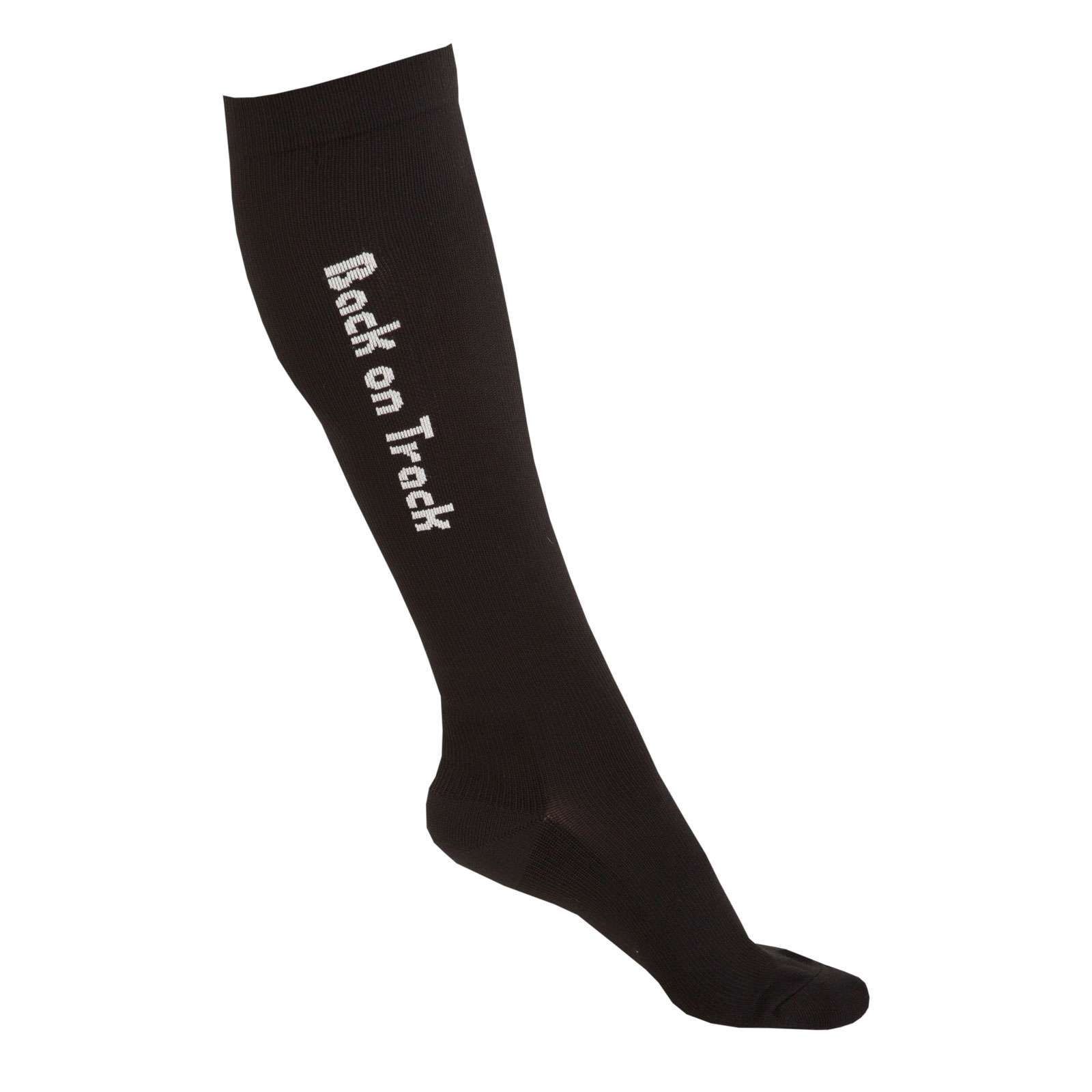 Back on Track Noah Sokken