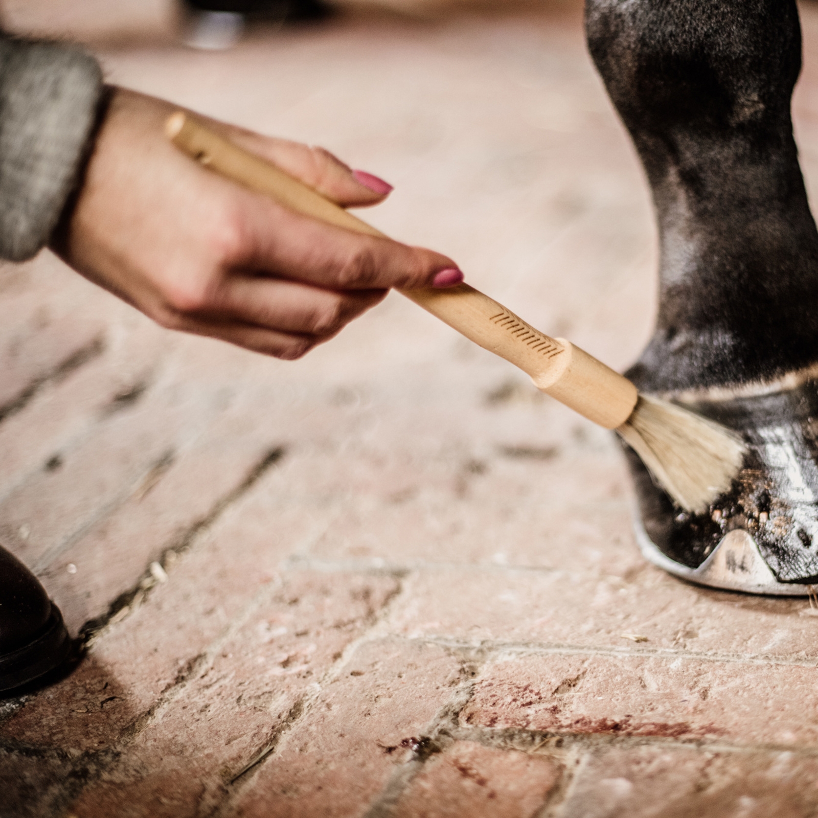 Grooming Deluxe Hoefkwast