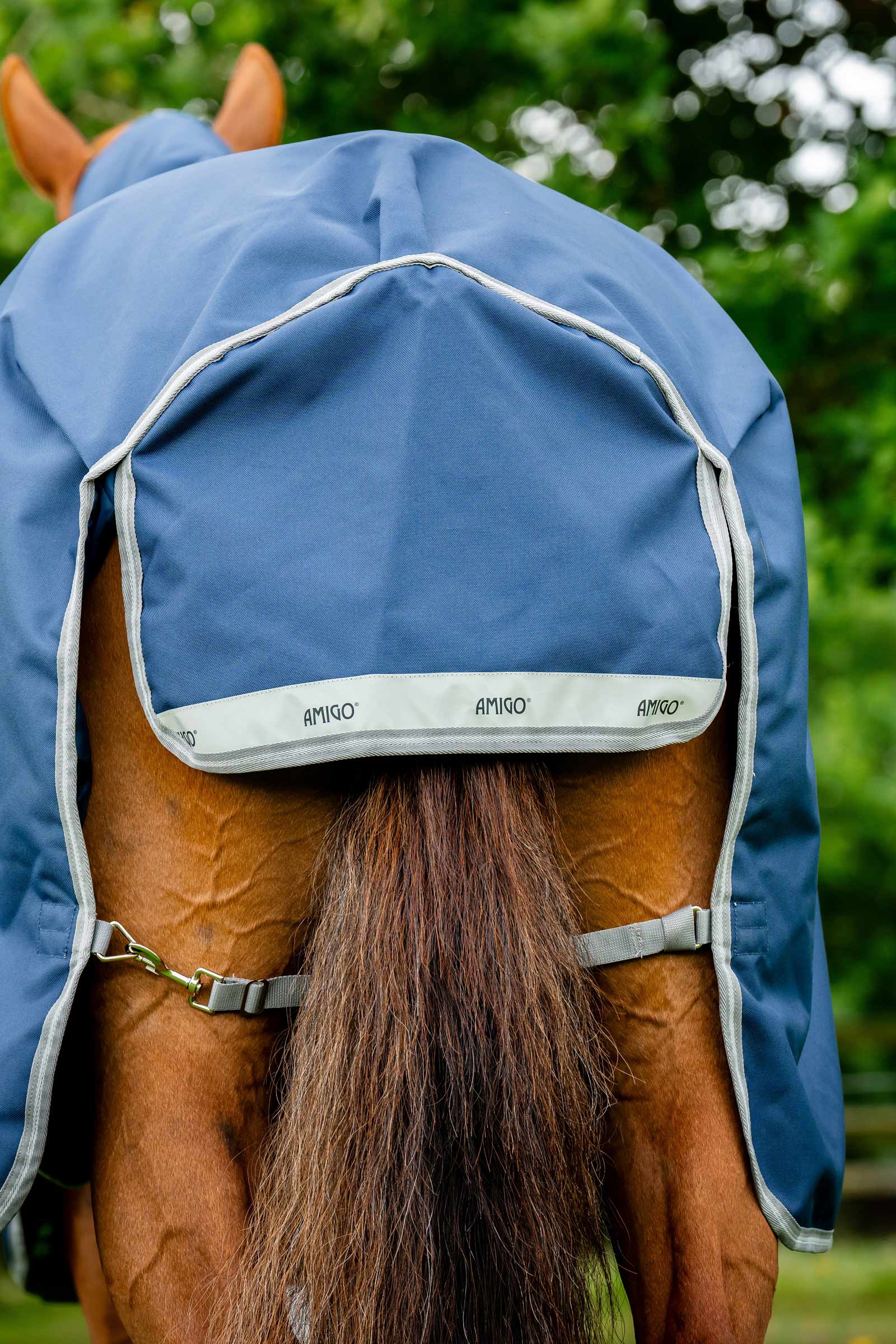 Horseware Amigo Bravo 12 Plus outdoordeken, 250 g